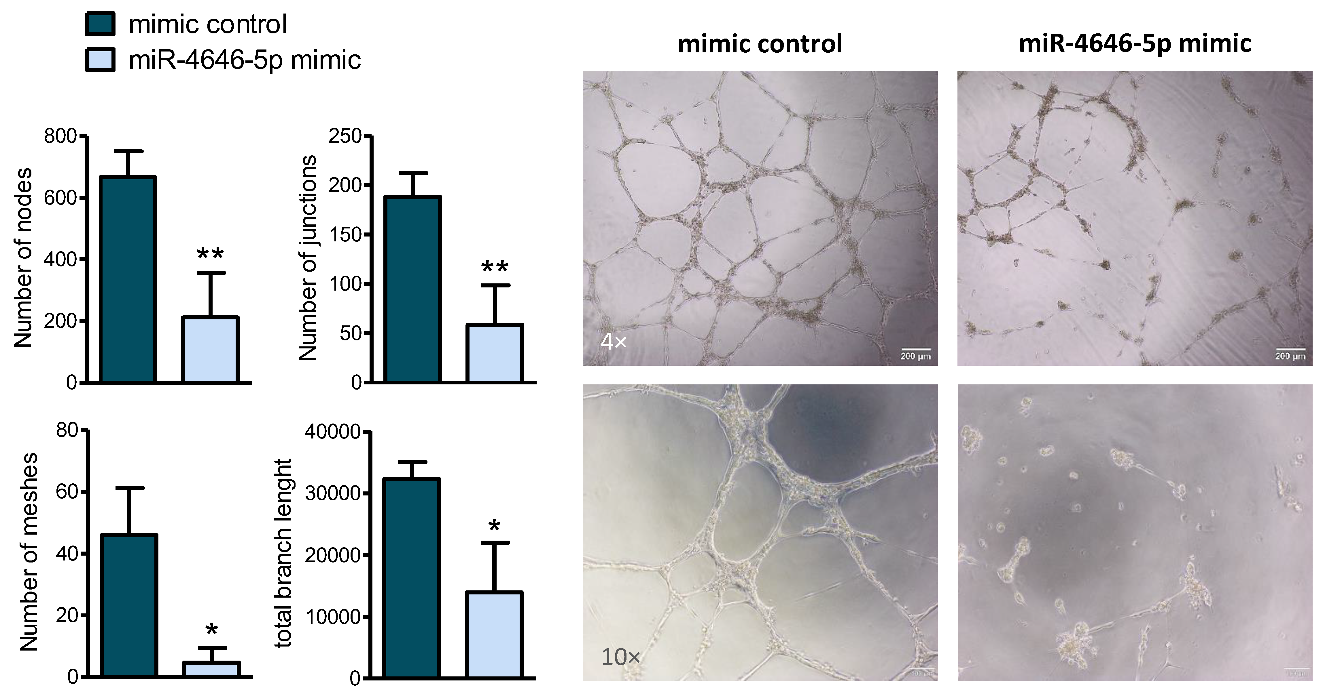 Ncrna 10 00002 g004 Ncrna 10 00002 g004