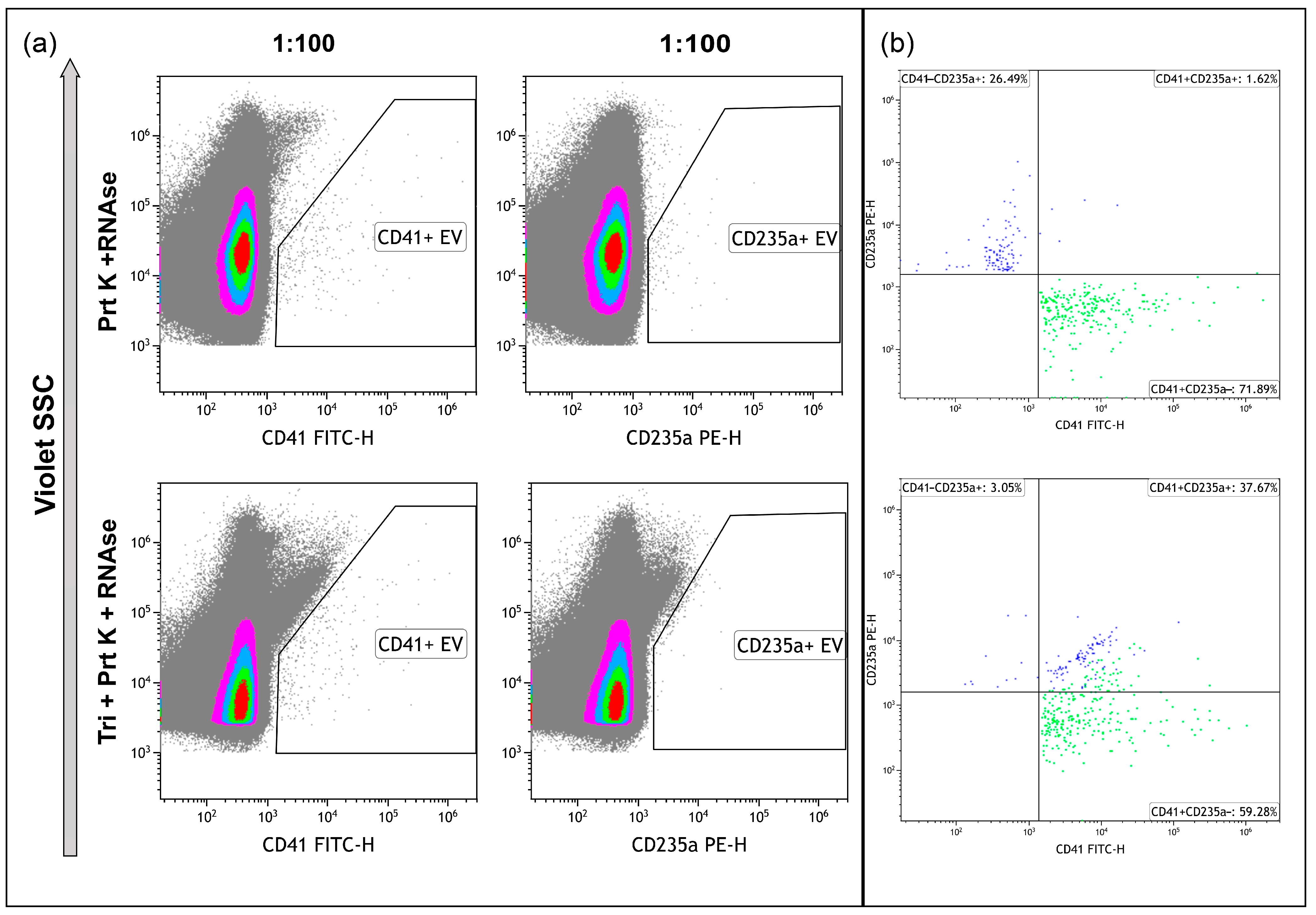 Ncrna 10 00015 g007 Ncrna 10 00015 g007