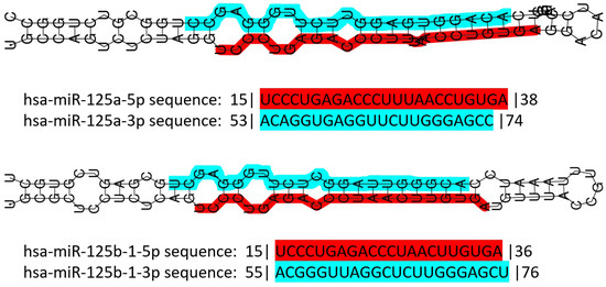 miR-125 in Breast Cancer Etiopathogenesis: An Emerging Role