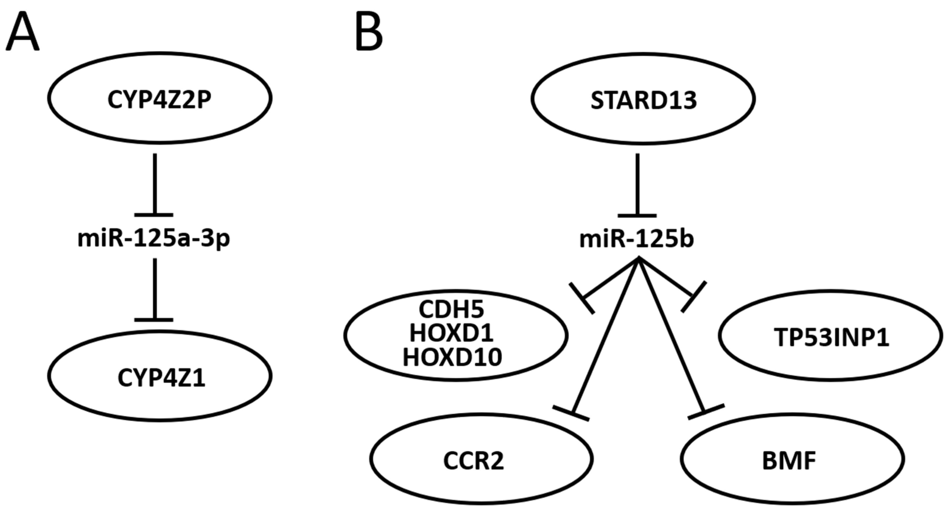 miR-125 in Breast Cancer Etiopathogenesis: An Emerging Role