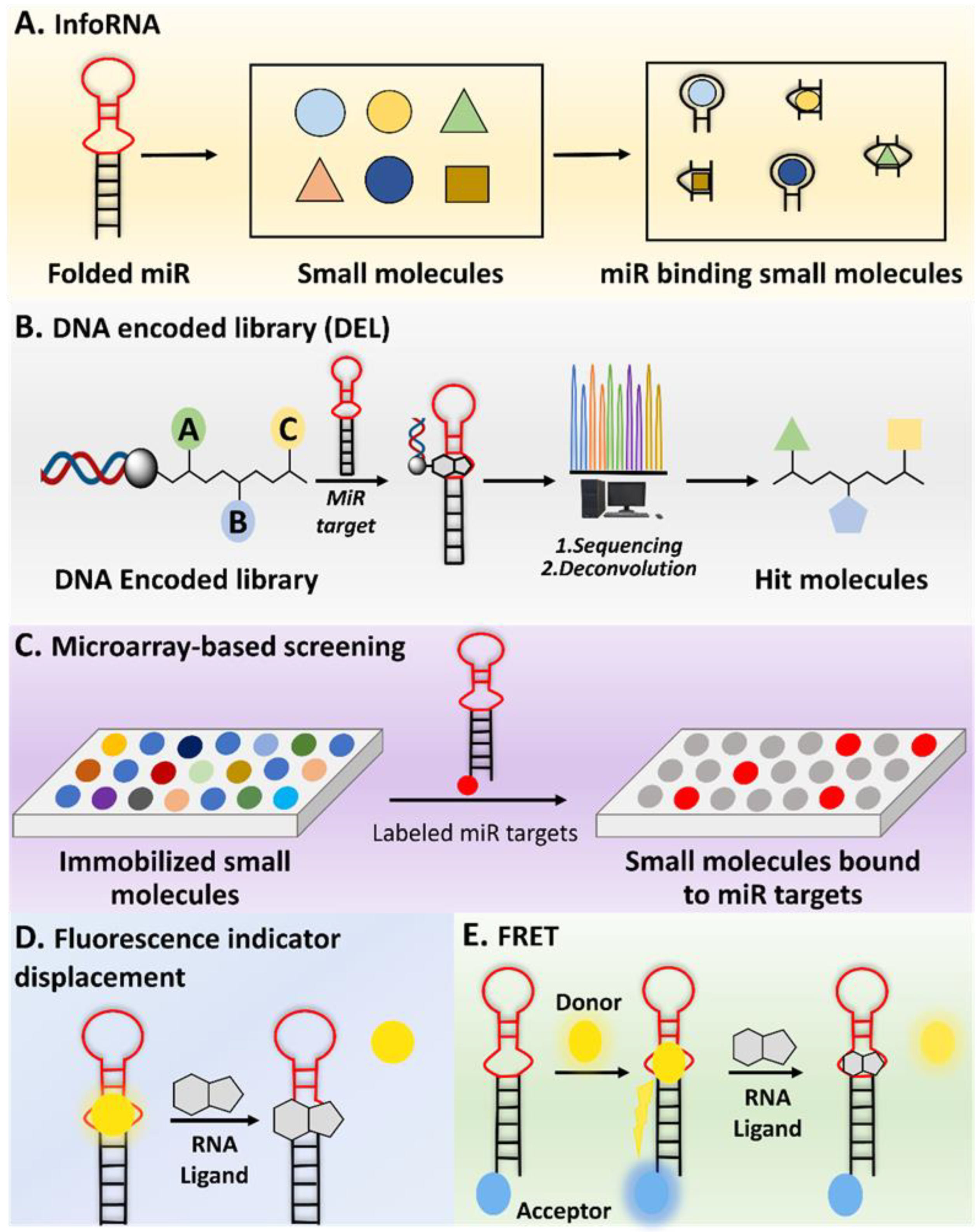 Ncrna 10 00017 g002 Ncrna 10 00017 g002