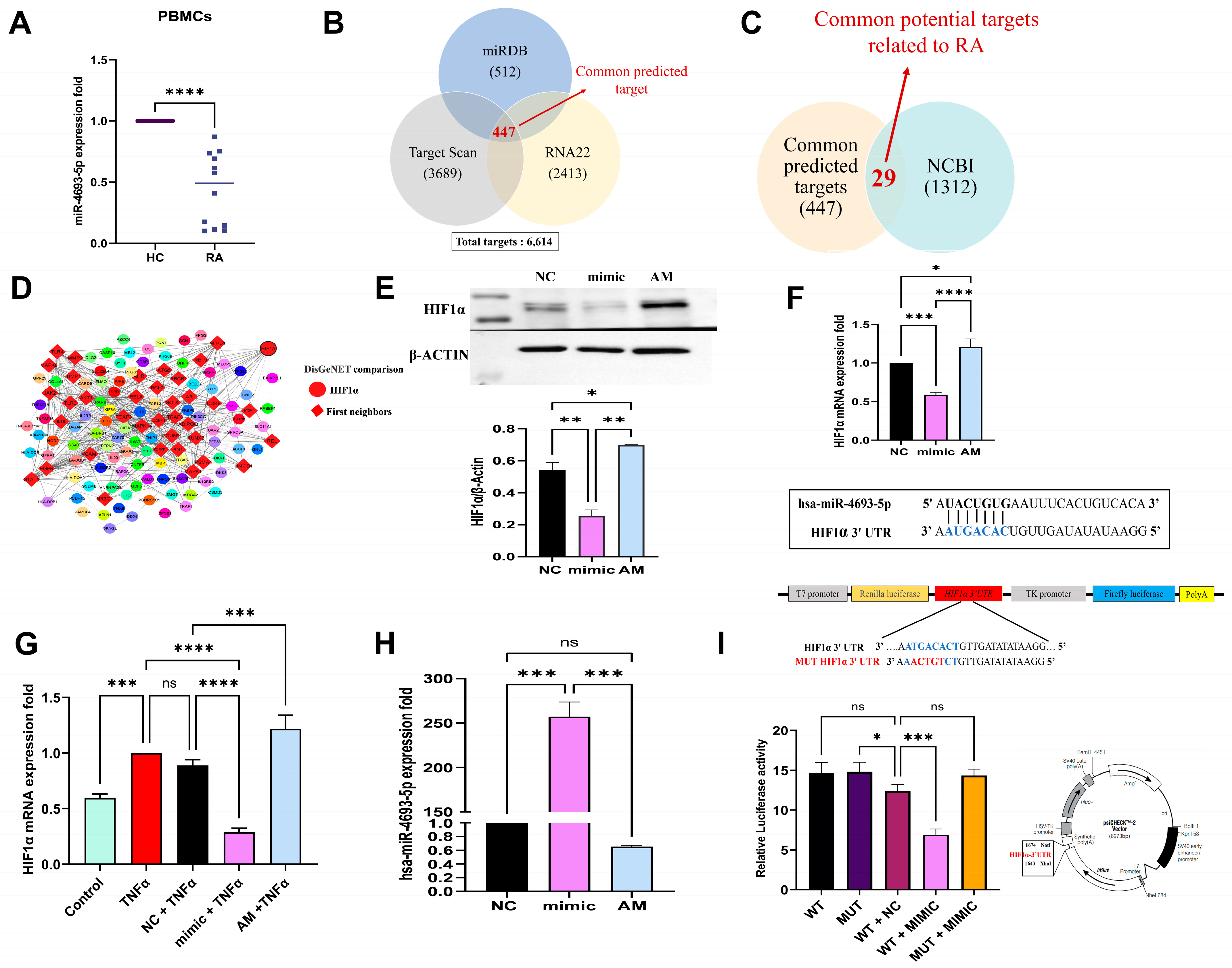 Ncrna 10 00022 g001 Ncrna 10 00022 g001