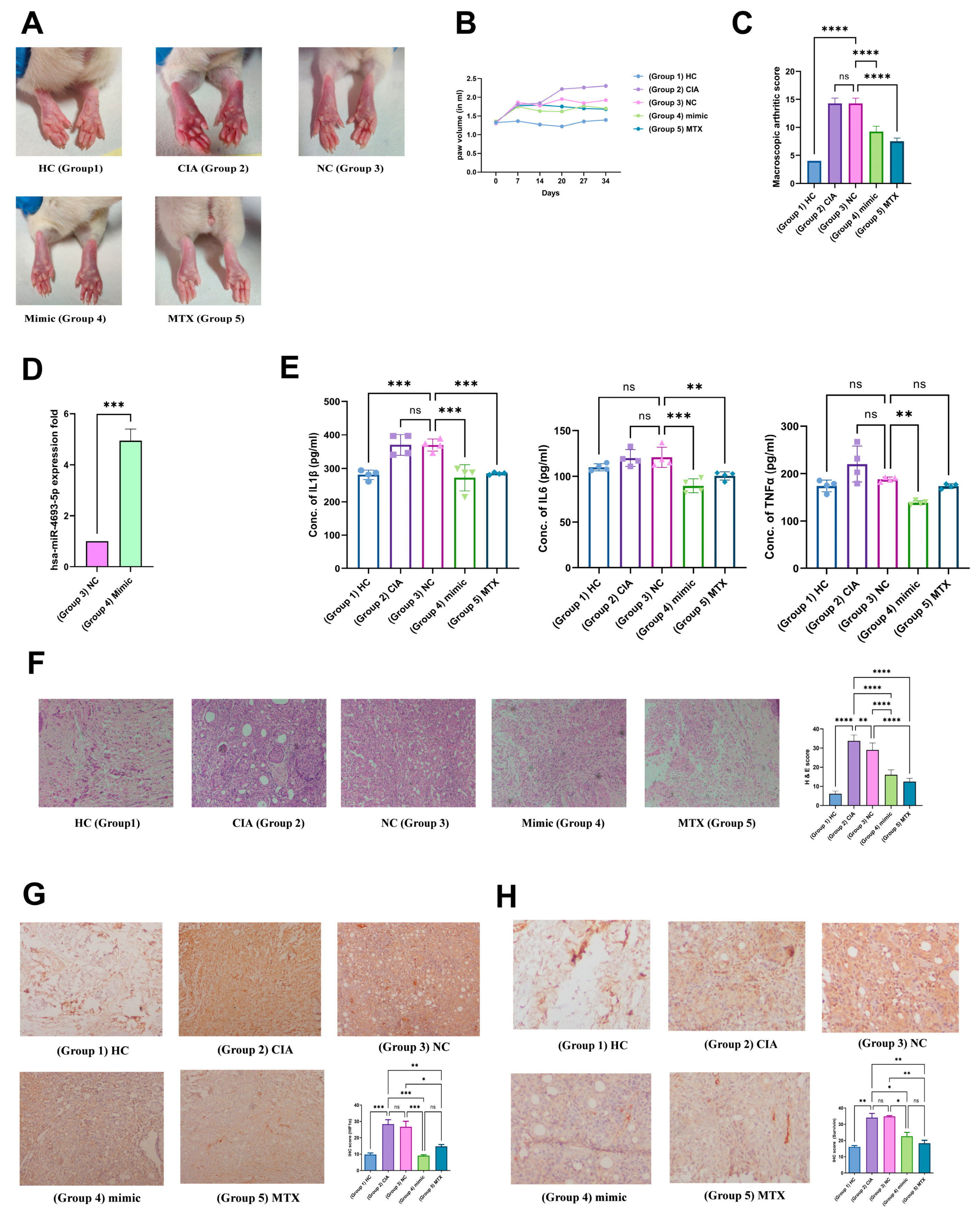 Ncrna 10 00022 g006 Ncrna 10 00022 g006