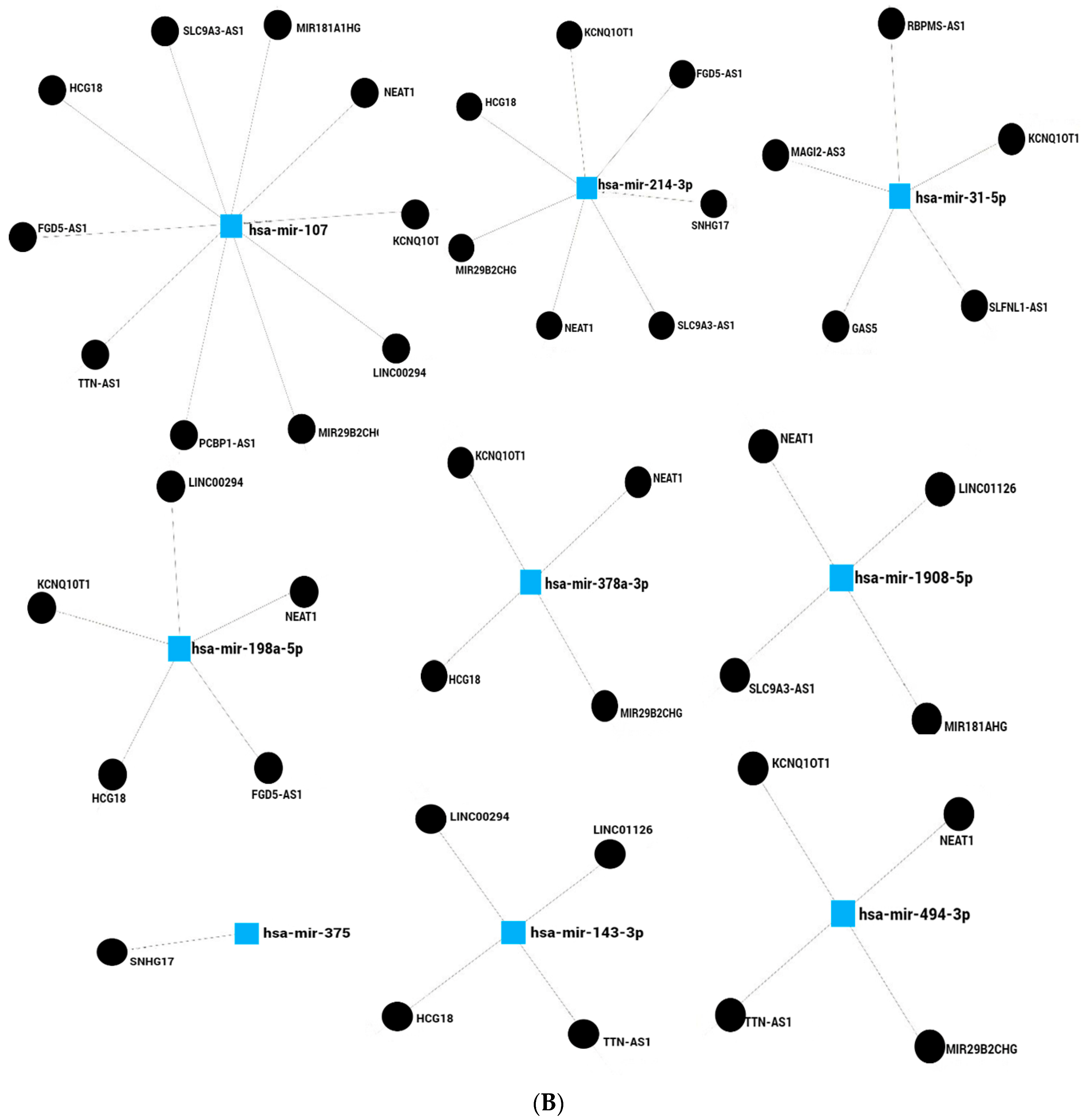 Ncrna 10 00024 g002b Ncrna 10 00024 g002b