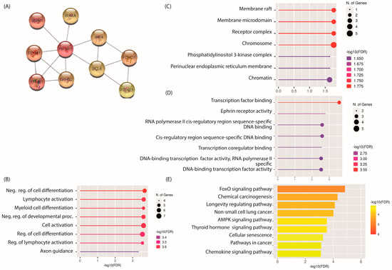 lncRNA-mRNA Co-Expression and Regulation Analysis in Lung