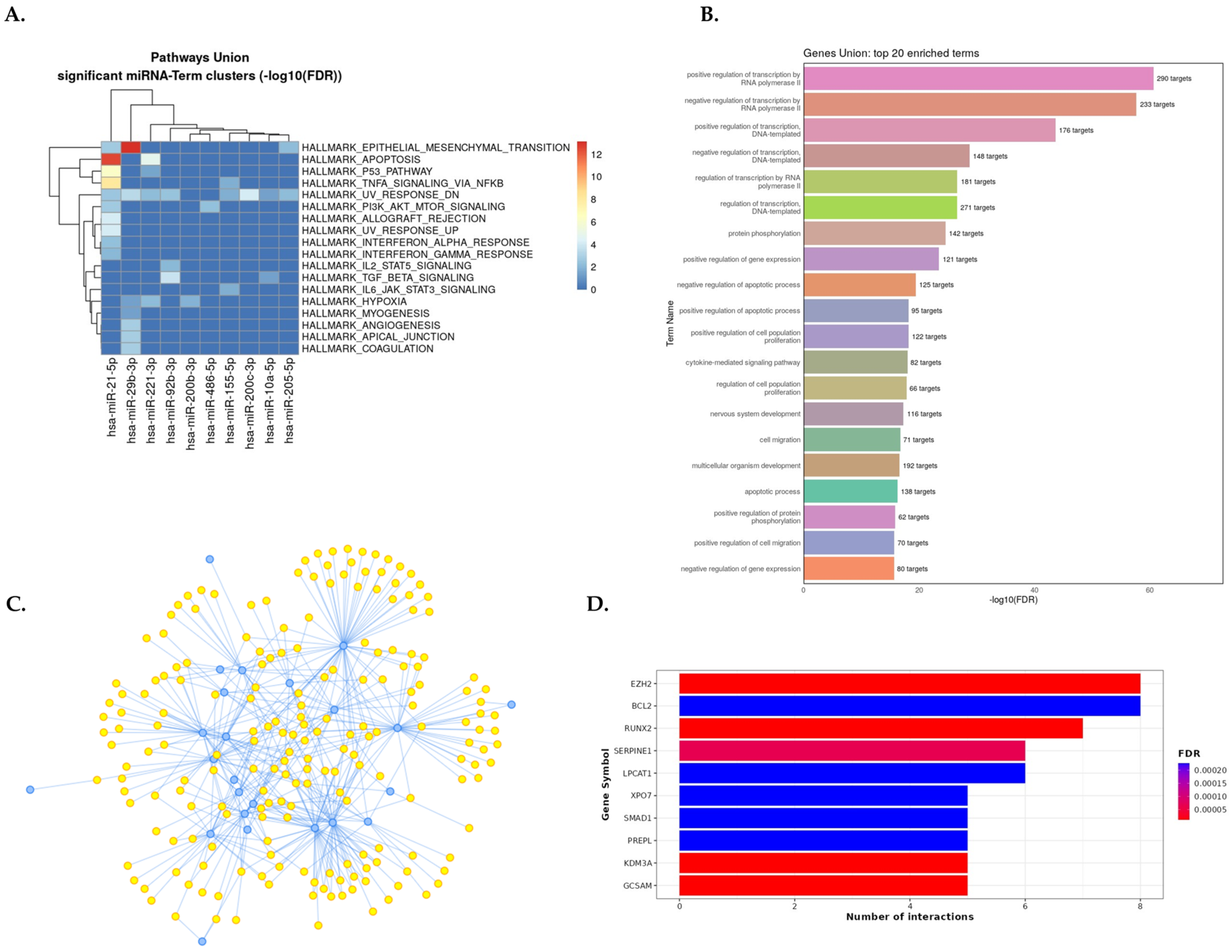 Ncrna 10 00030 g004 Ncrna 10 00030 g004