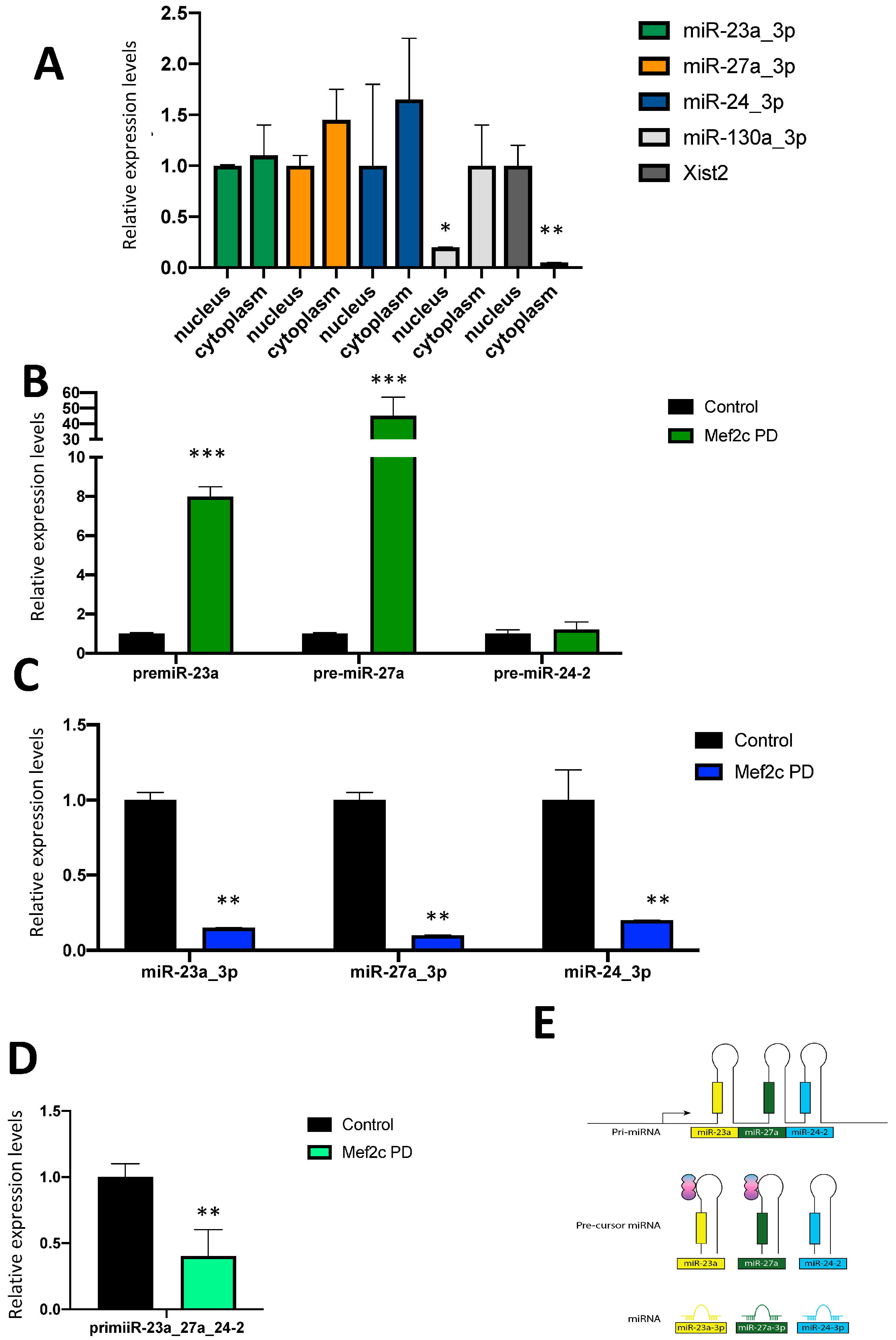Ncrna 10 00032 g001 Ncrna 10 00032 g001