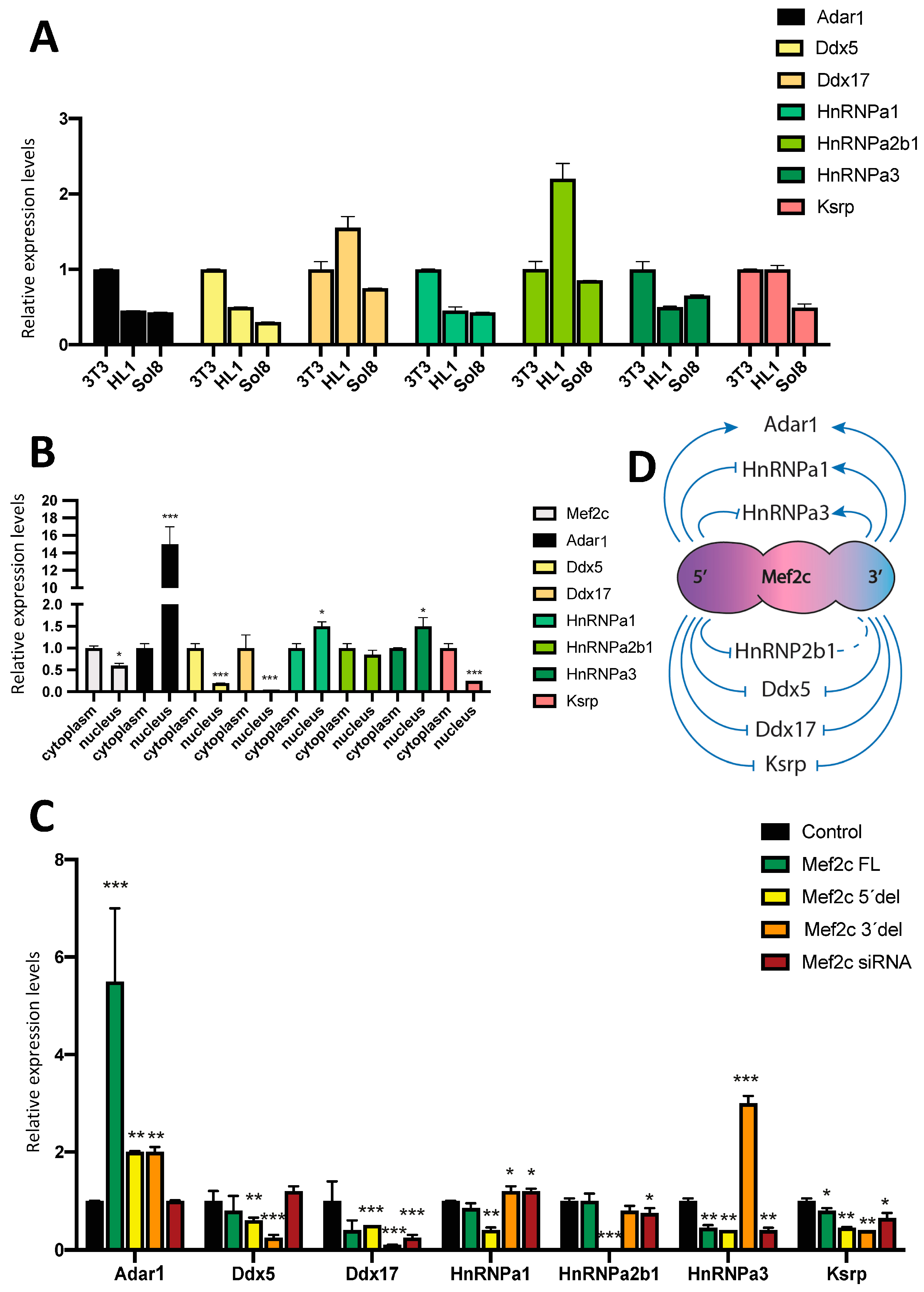 Ncrna 10 00032 g003 Ncrna 10 00032 g003