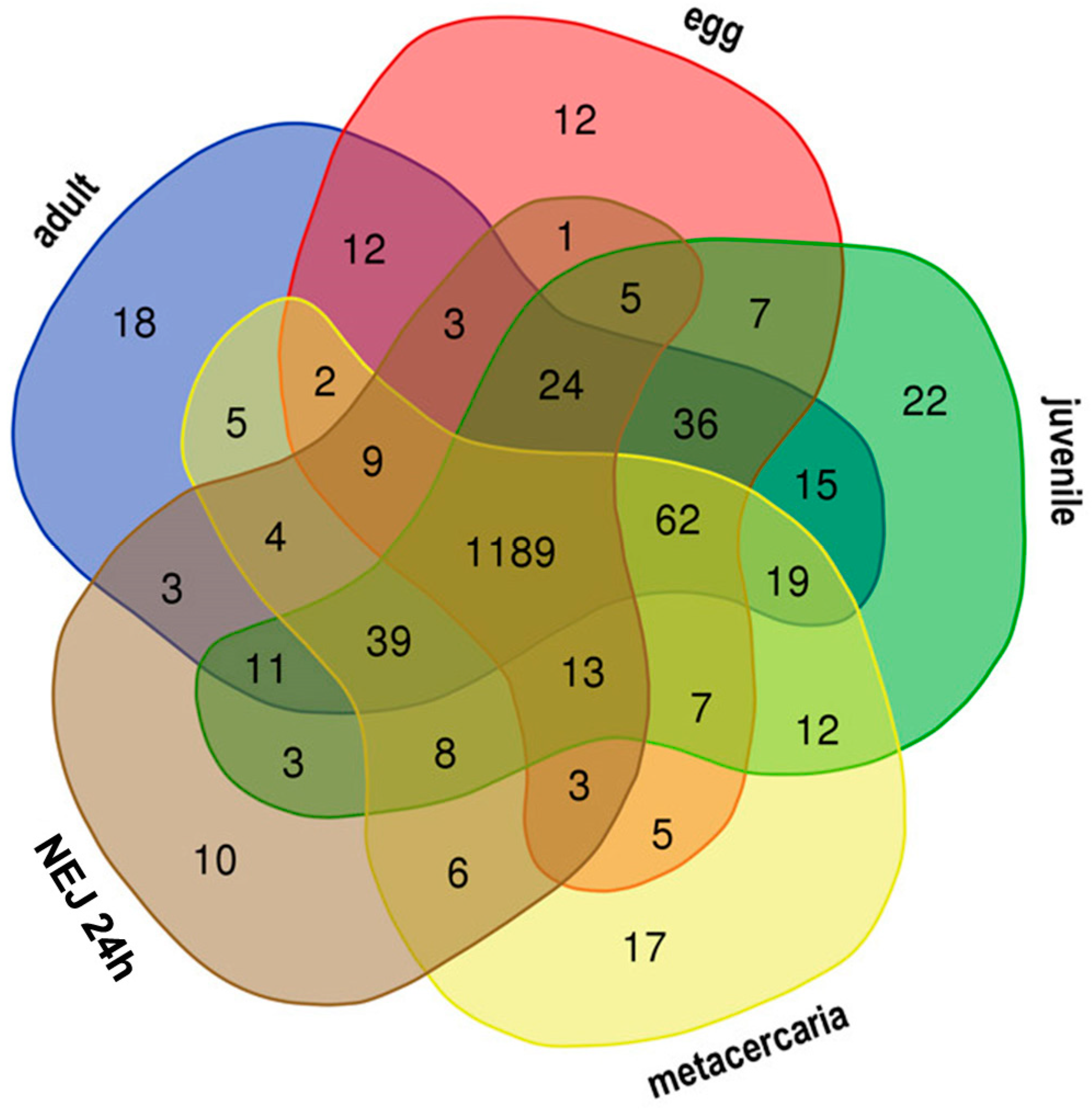 Ncrna 10 00039 g002 Ncrna 10 00039 g002