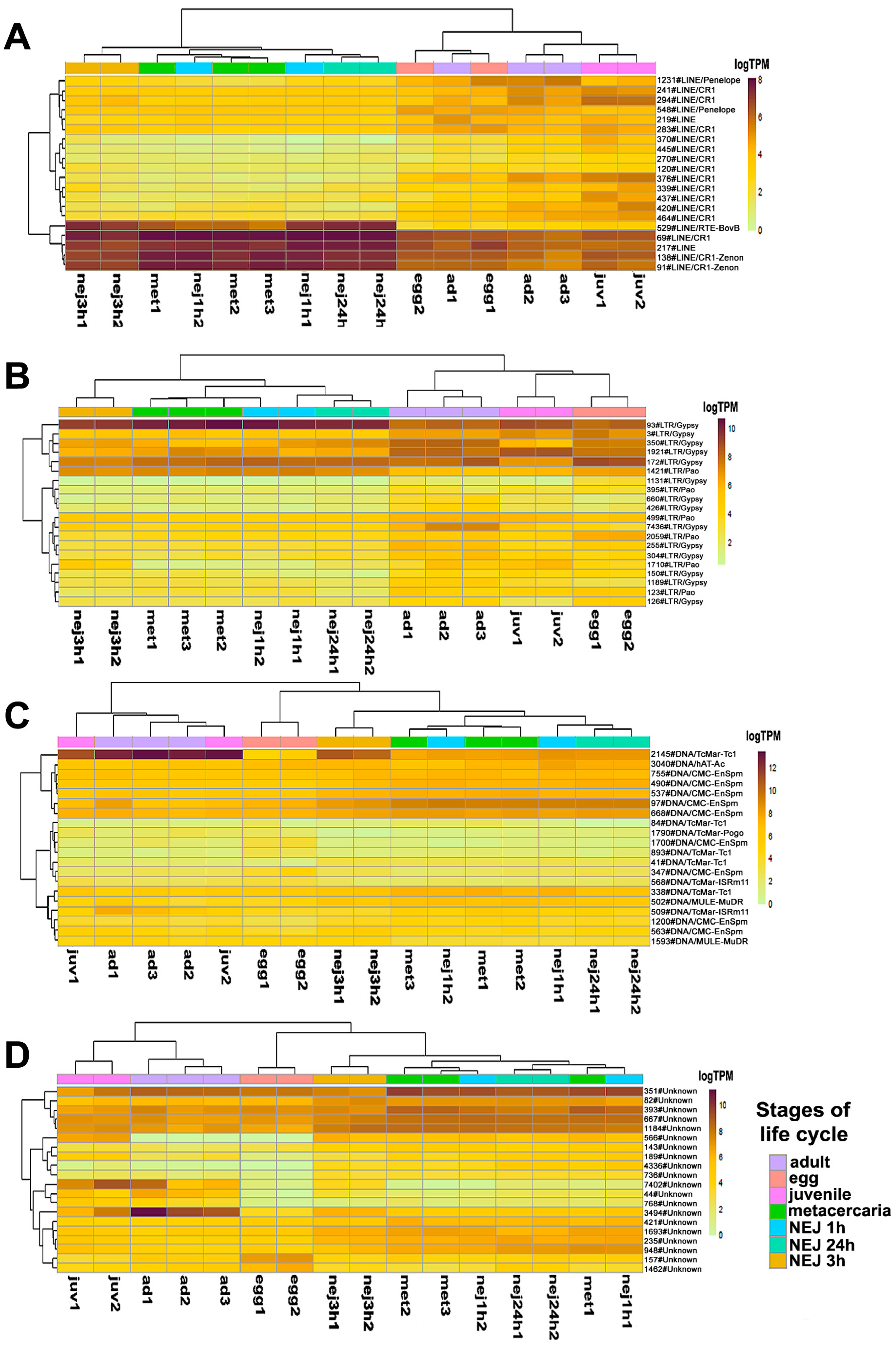 Ncrna 10 00039 g004 Ncrna 10 00039 g004