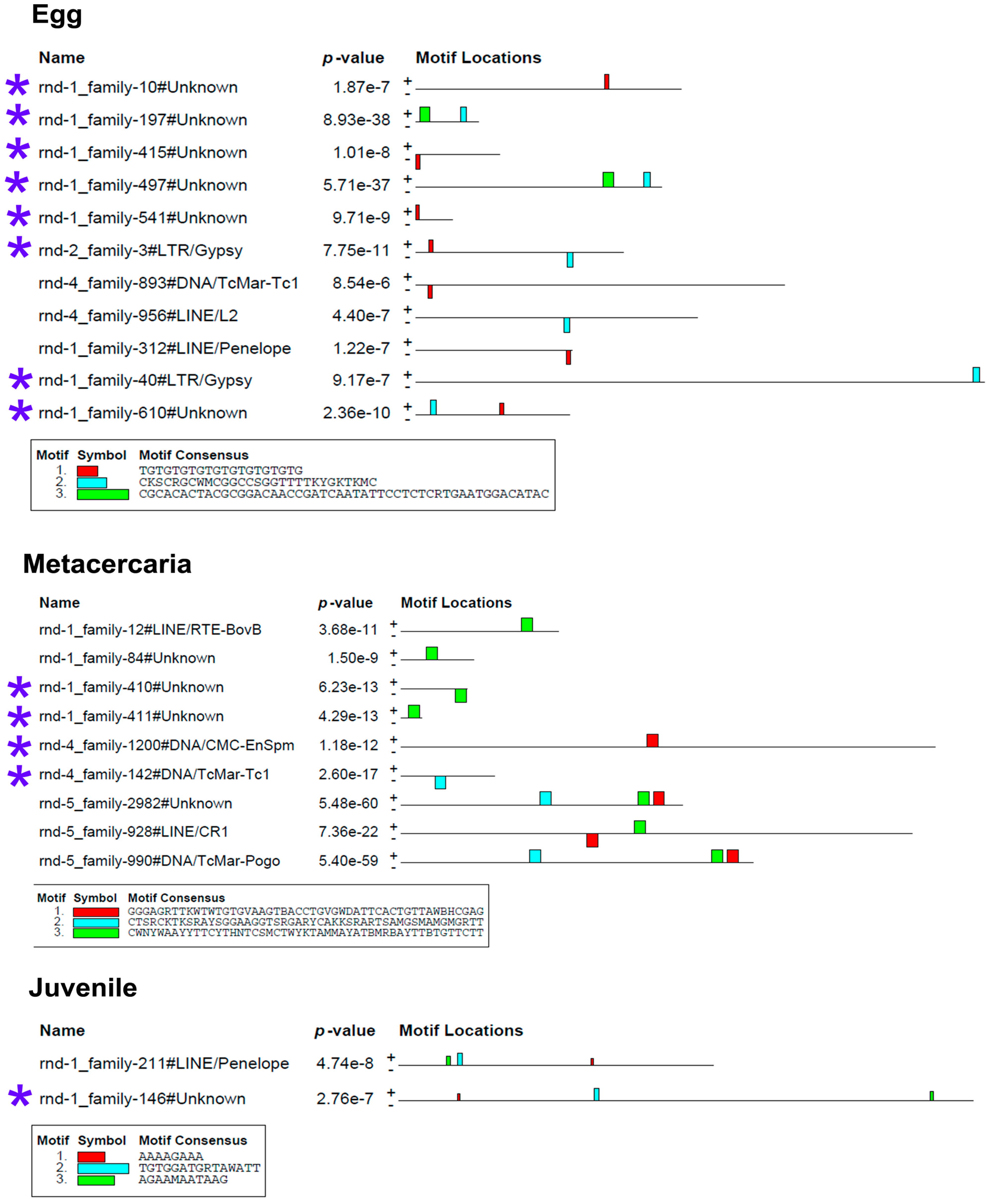 Ncrna 10 00039 g007 Ncrna 10 00039 g007
