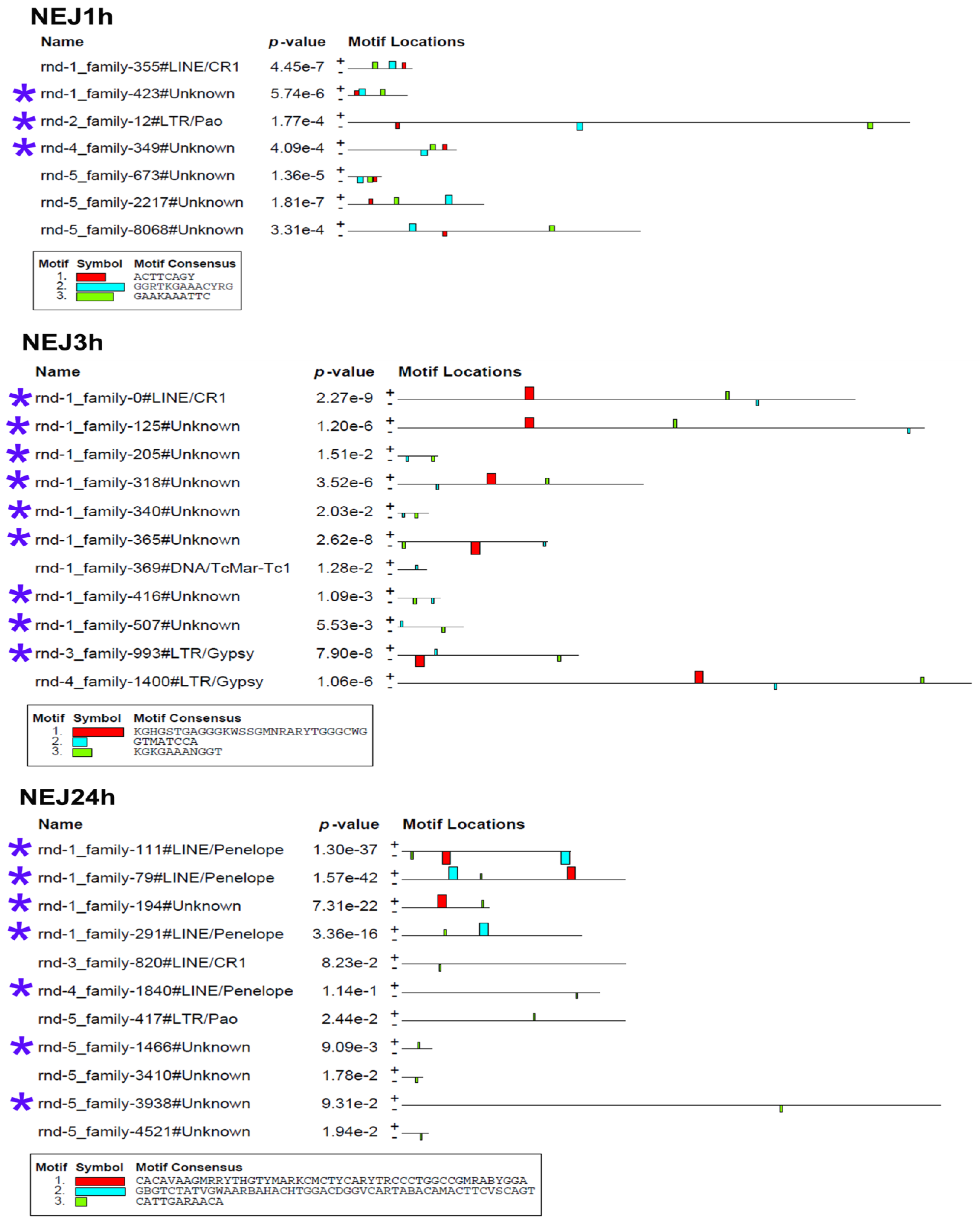 Ncrna 10 00039 g008 Ncrna 10 00039 g008