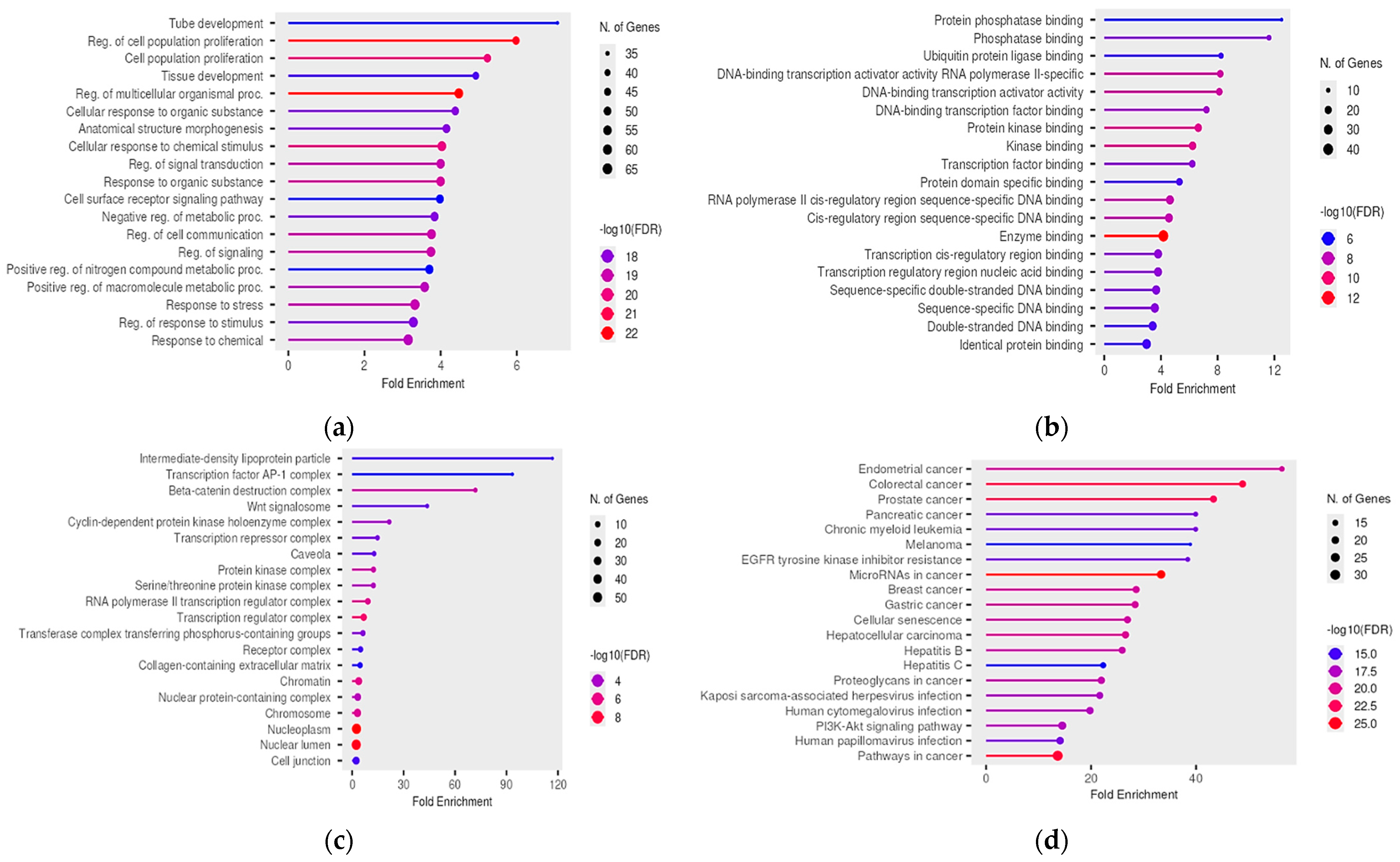 Ncrna 11 00004 g002 Ncrna 11 00004 g002