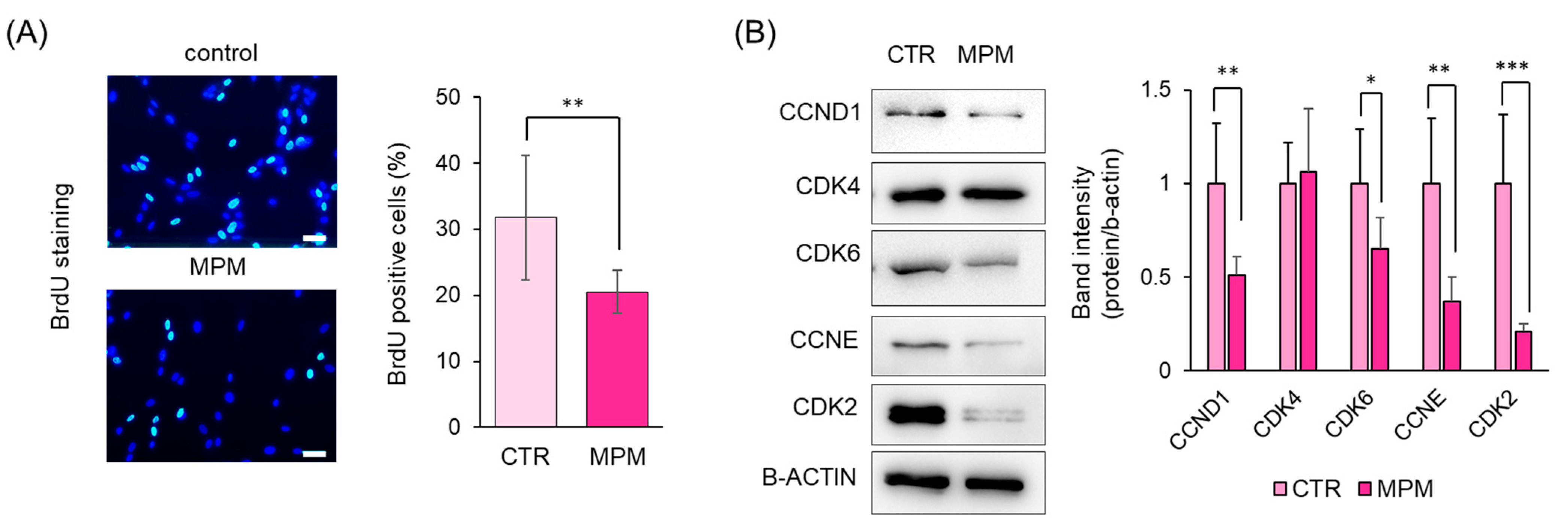 Ncrna 11 00012 g003 Ncrna 11 00012 g003