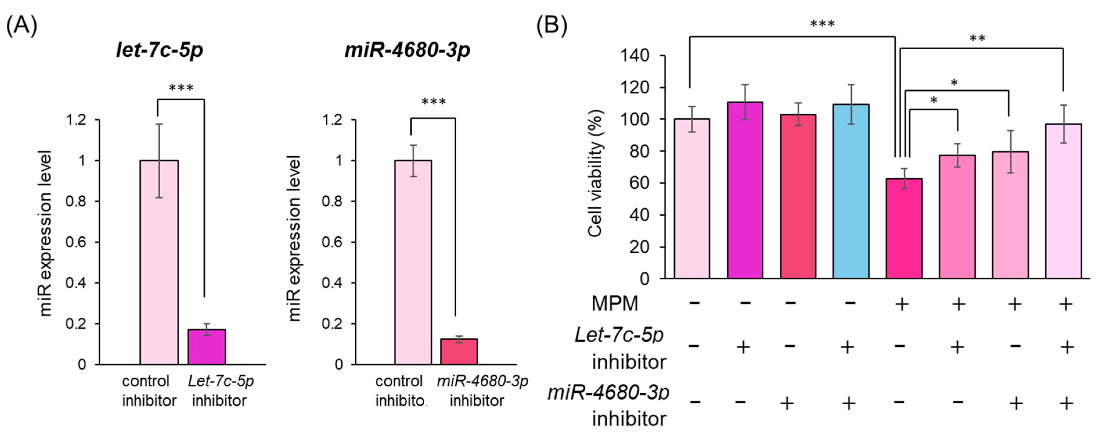 Ncrna 11 00012 g005 Ncrna 11 00012 g005