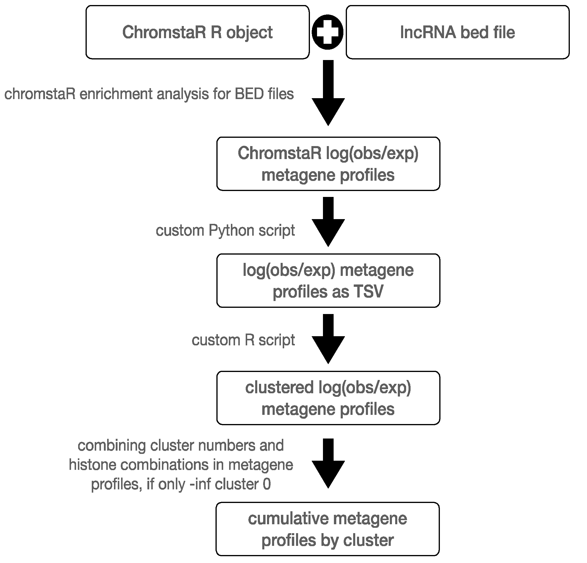 Ncrna 11 00025 g002 Ncrna 11 00025 g002