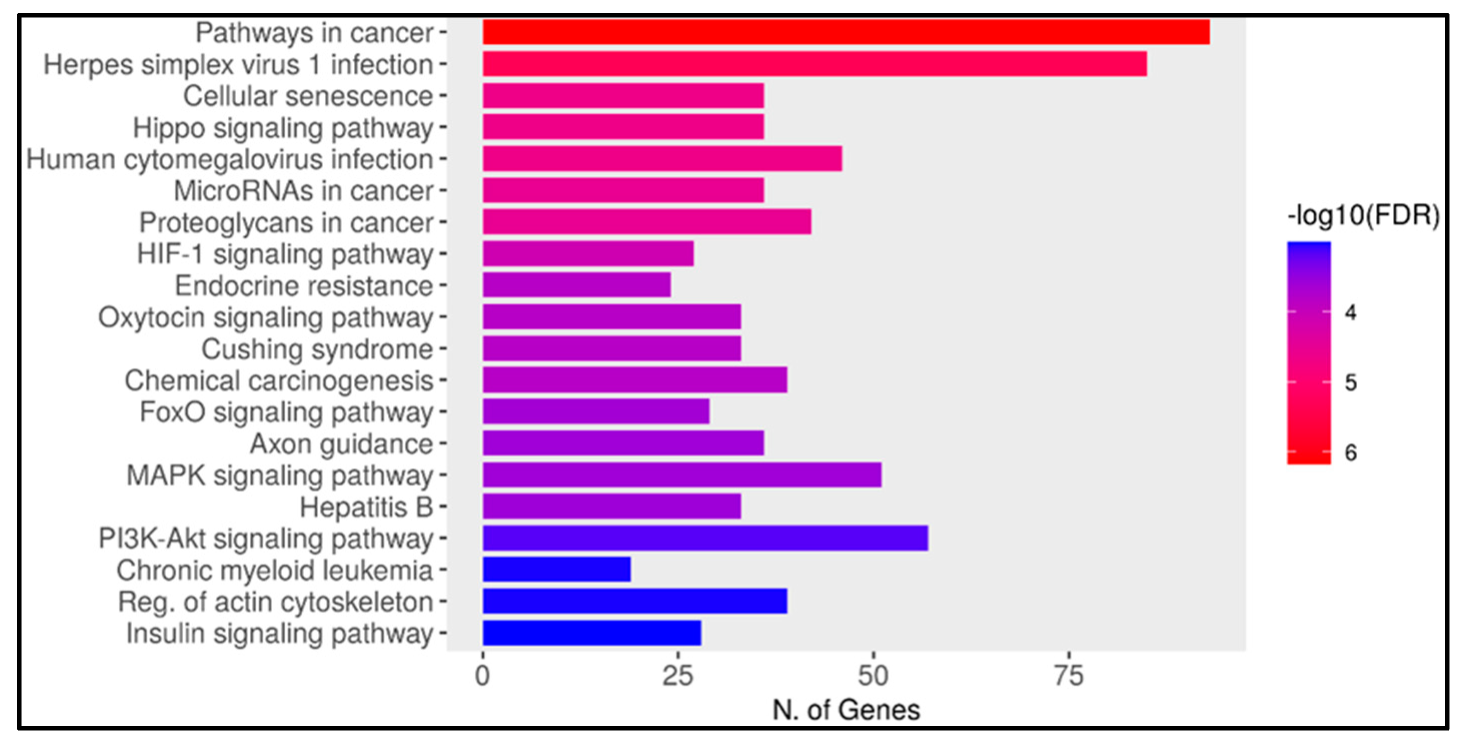 Ncrna 11 00032 g002 Ncrna 11 00032 g002