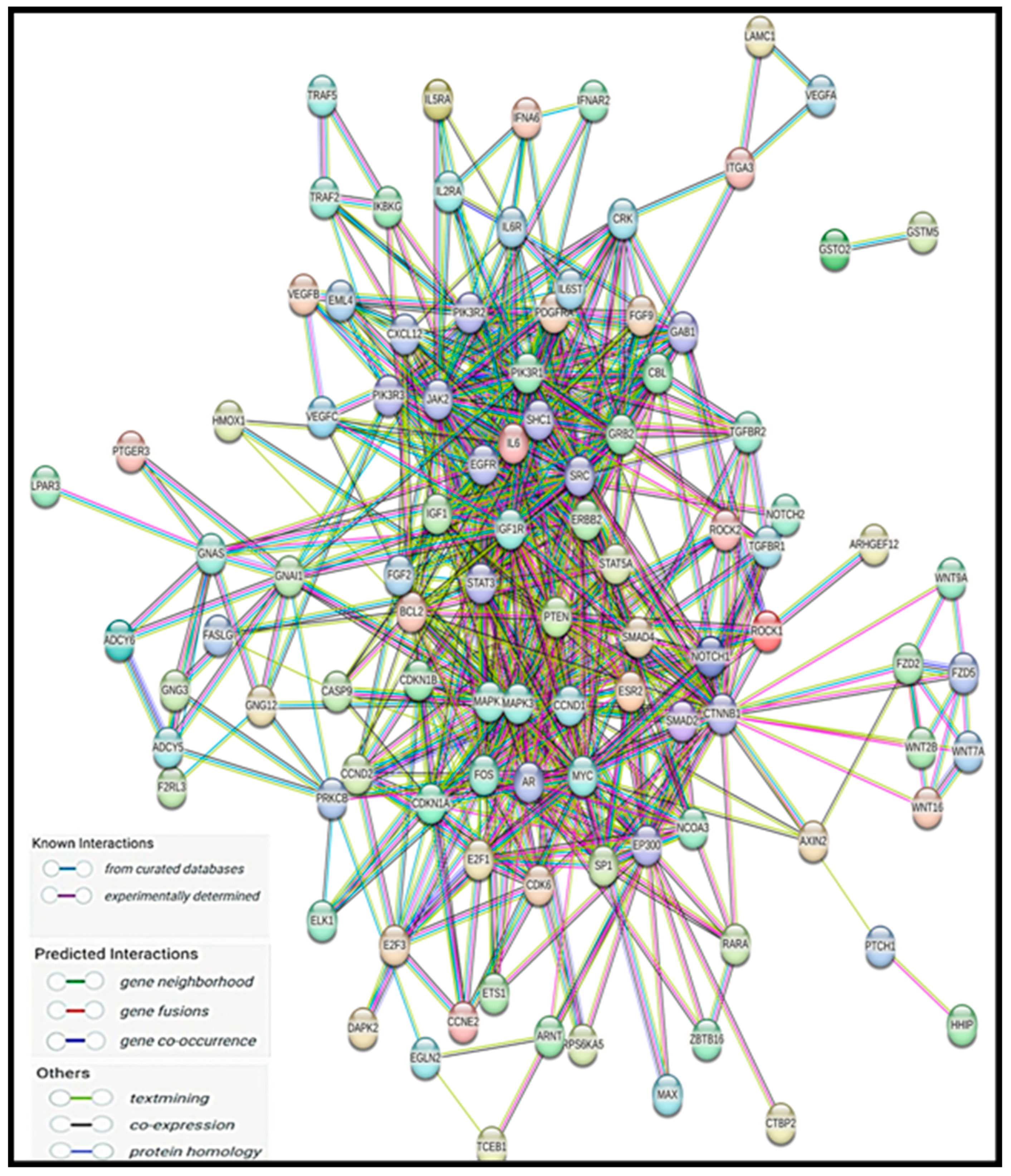 Ncrna 11 00032 g003 Ncrna 11 00032 g003