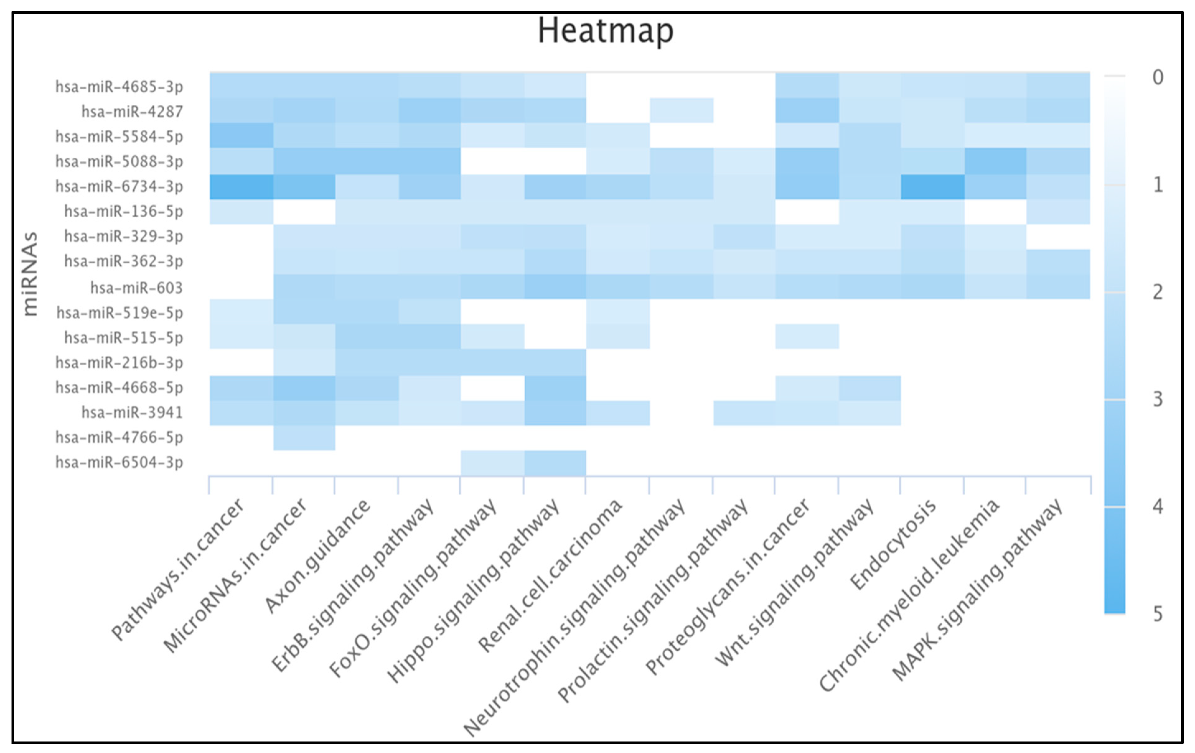 Ncrna 11 00032 g004 Ncrna 11 00032 g004