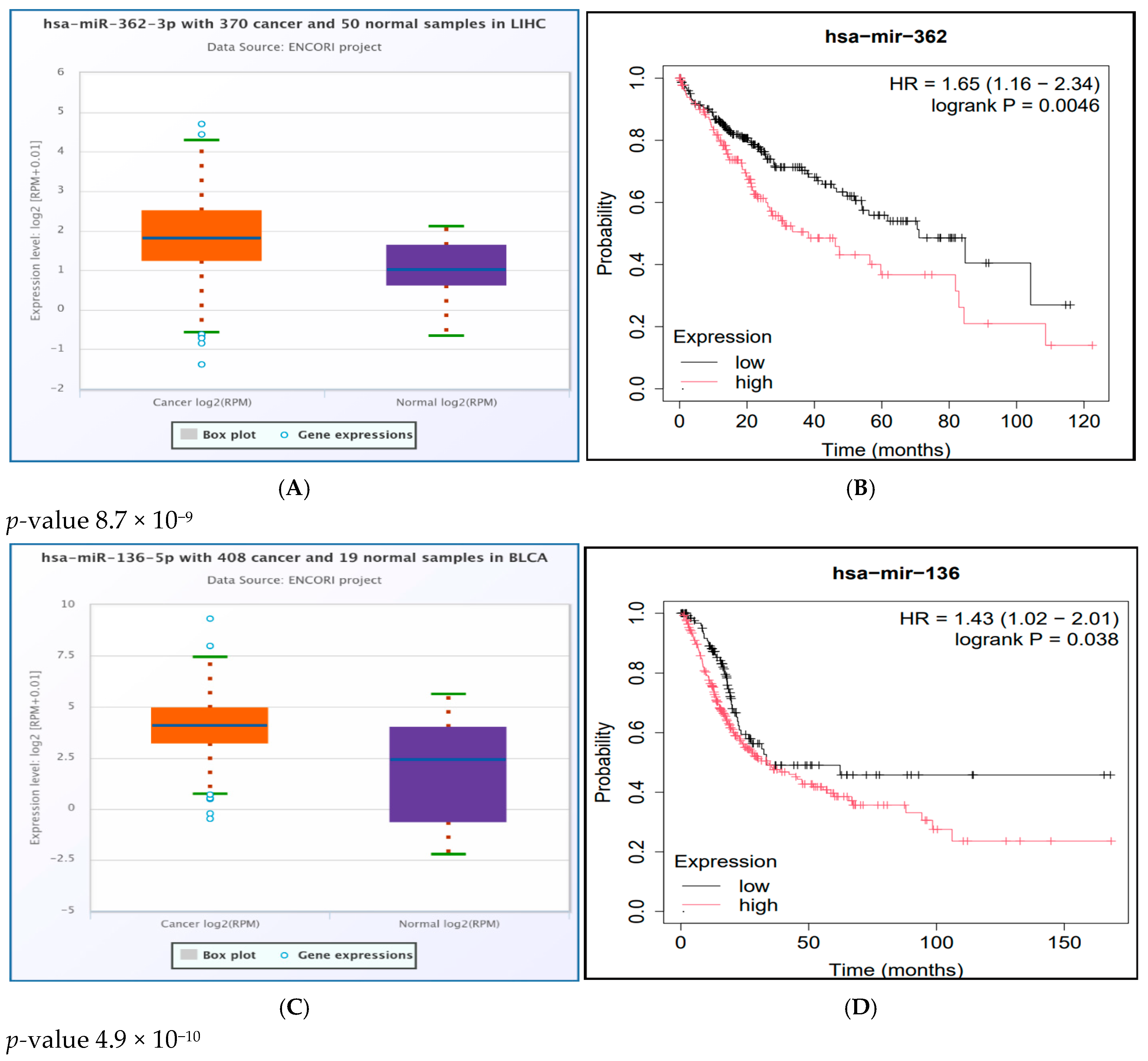 Ncrna 11 00032 g005a Ncrna 11 00032 g005a