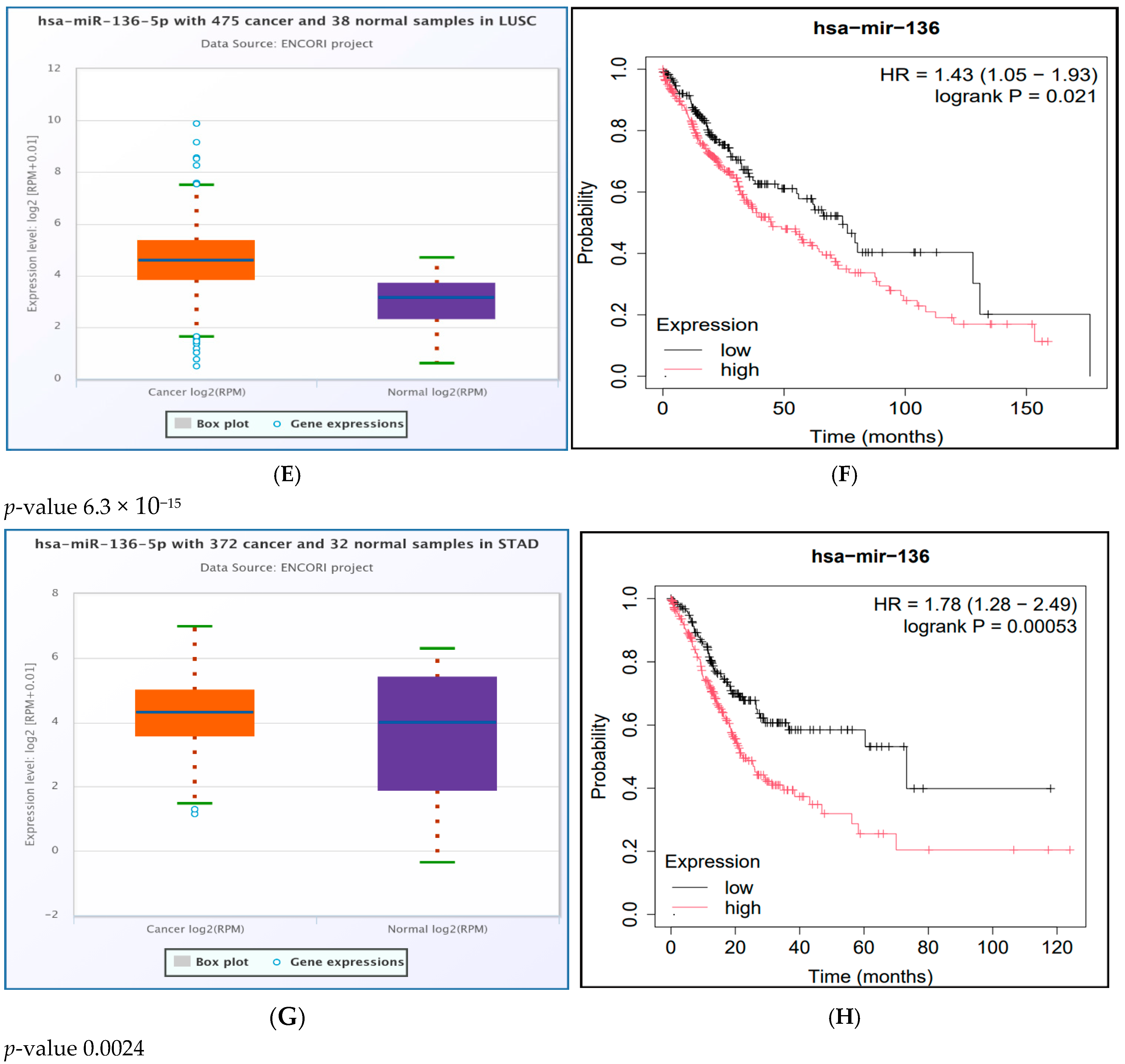 Ncrna 11 00032 g005b Ncrna 11 00032 g005b
