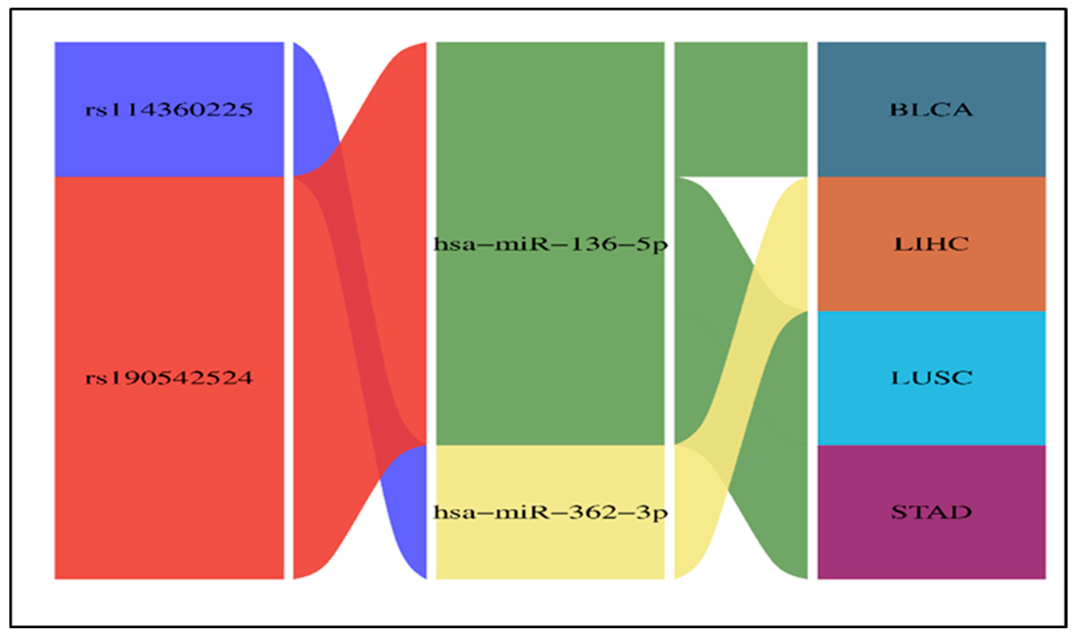 Ncrna 11 00032 g006 Ncrna 11 00032 g006