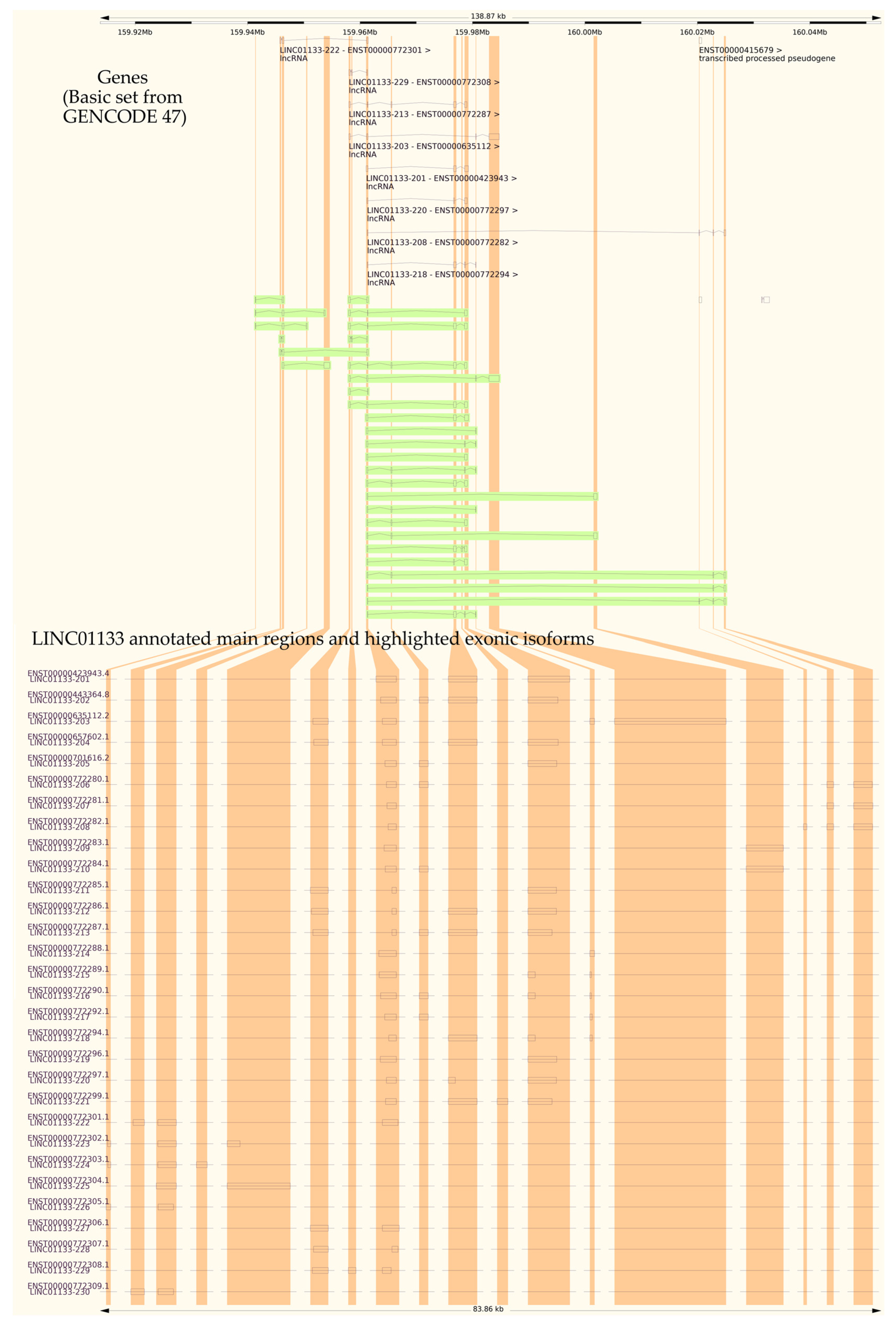Ncrna 11 00058 g001 Ncrna 11 00058 g001