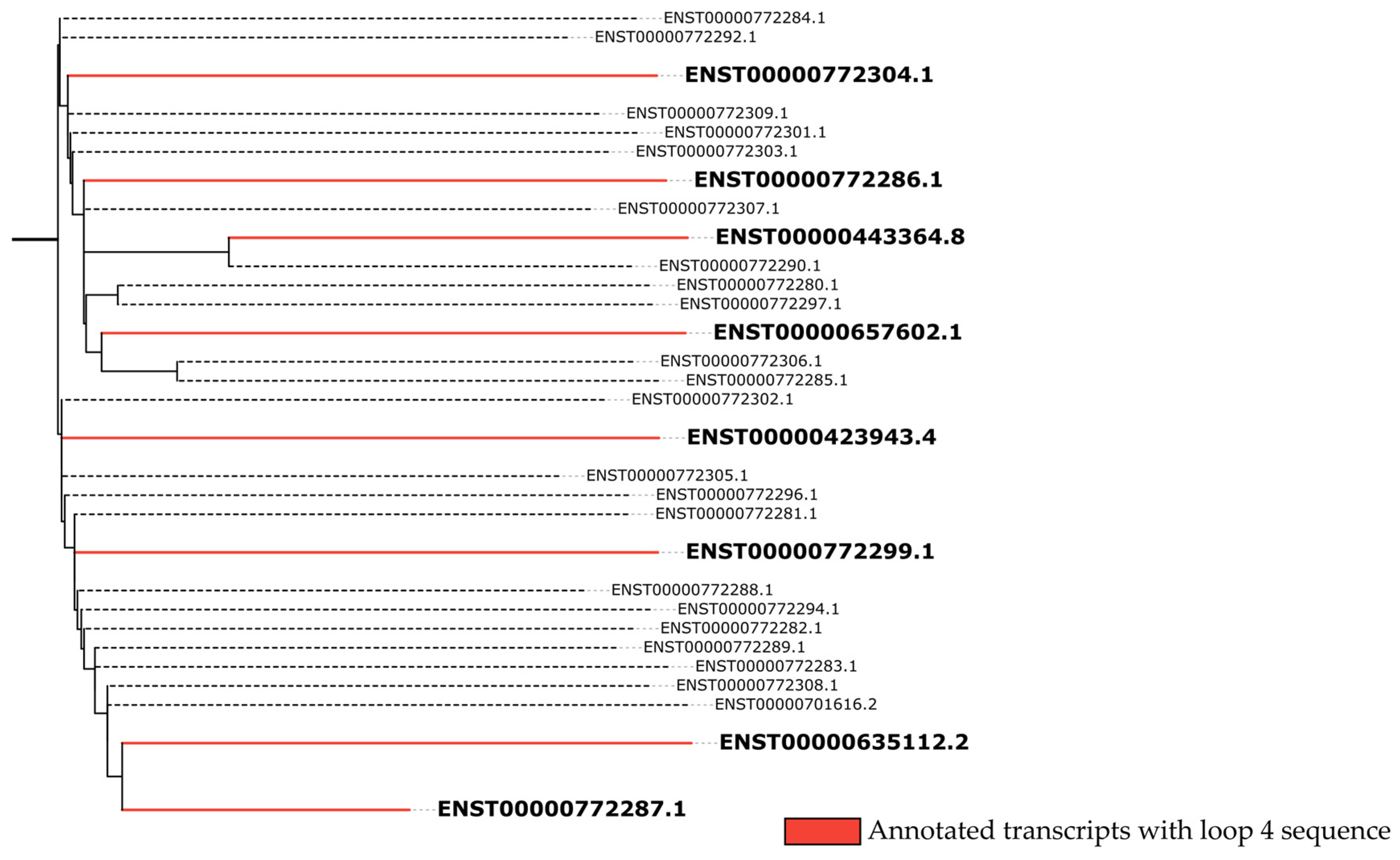 Ncrna 11 00058 g004 Ncrna 11 00058 g004