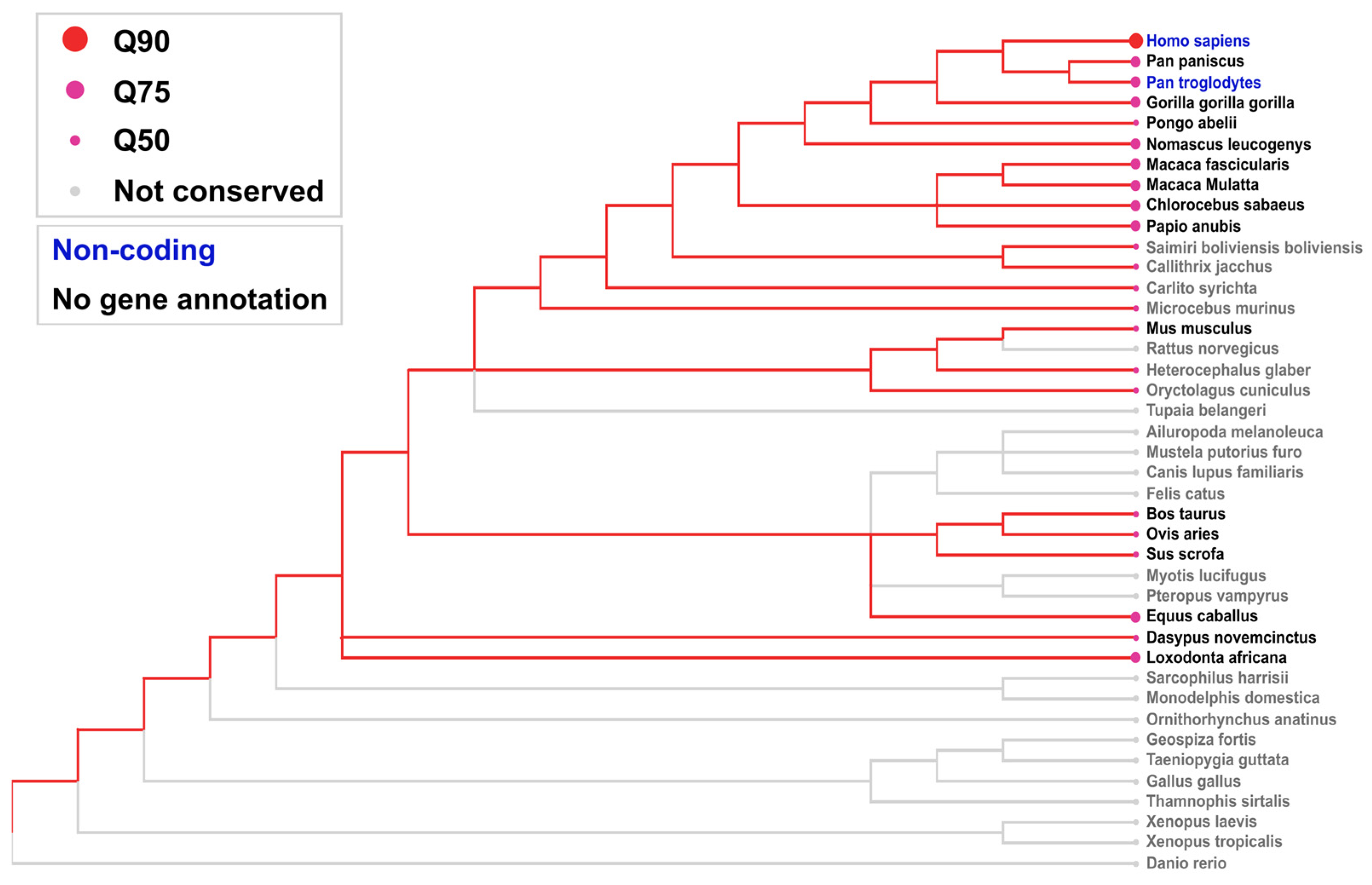 Ncrna 11 00058 g005 Ncrna 11 00058 g005