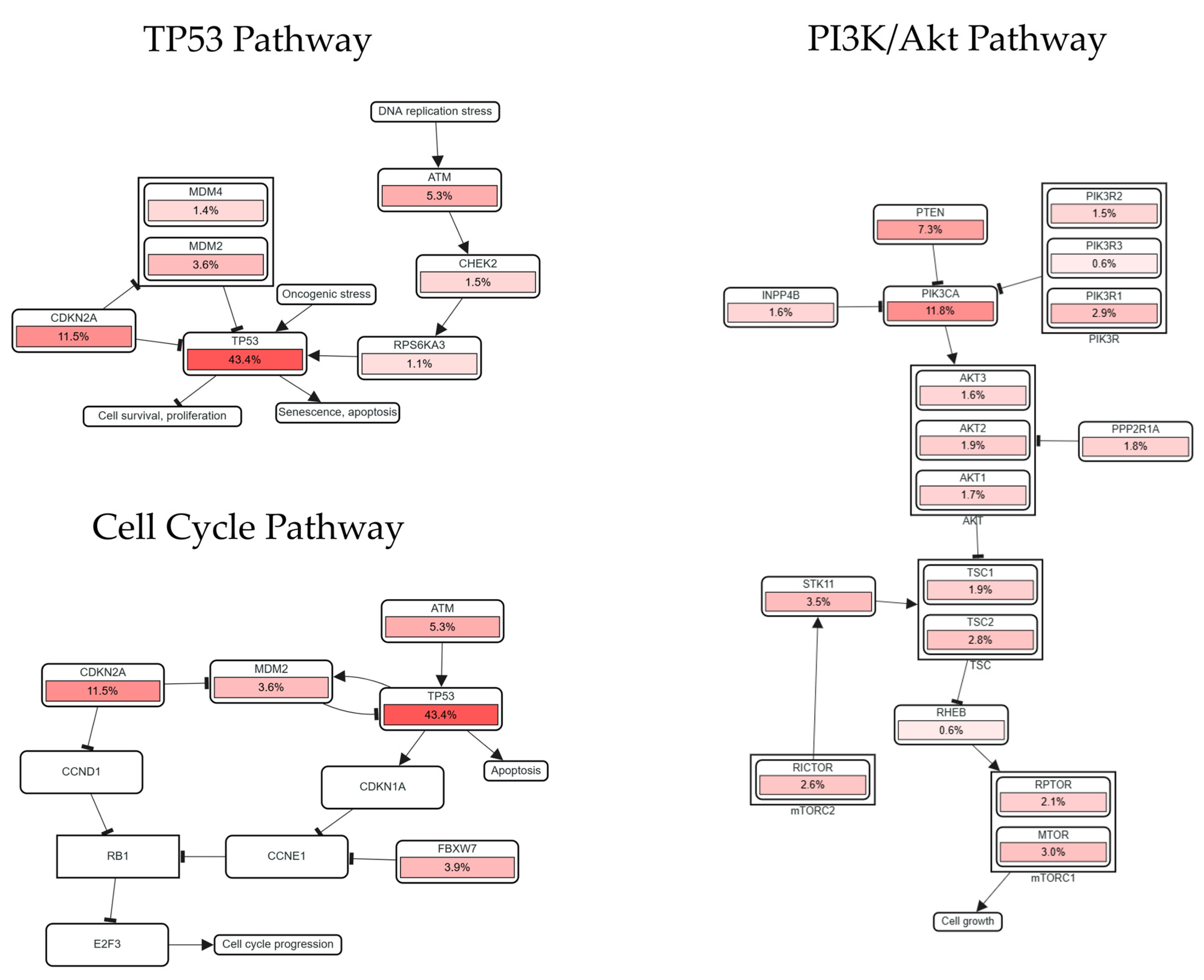 Ncrna 11 00058 g008 Ncrna 11 00058 g008