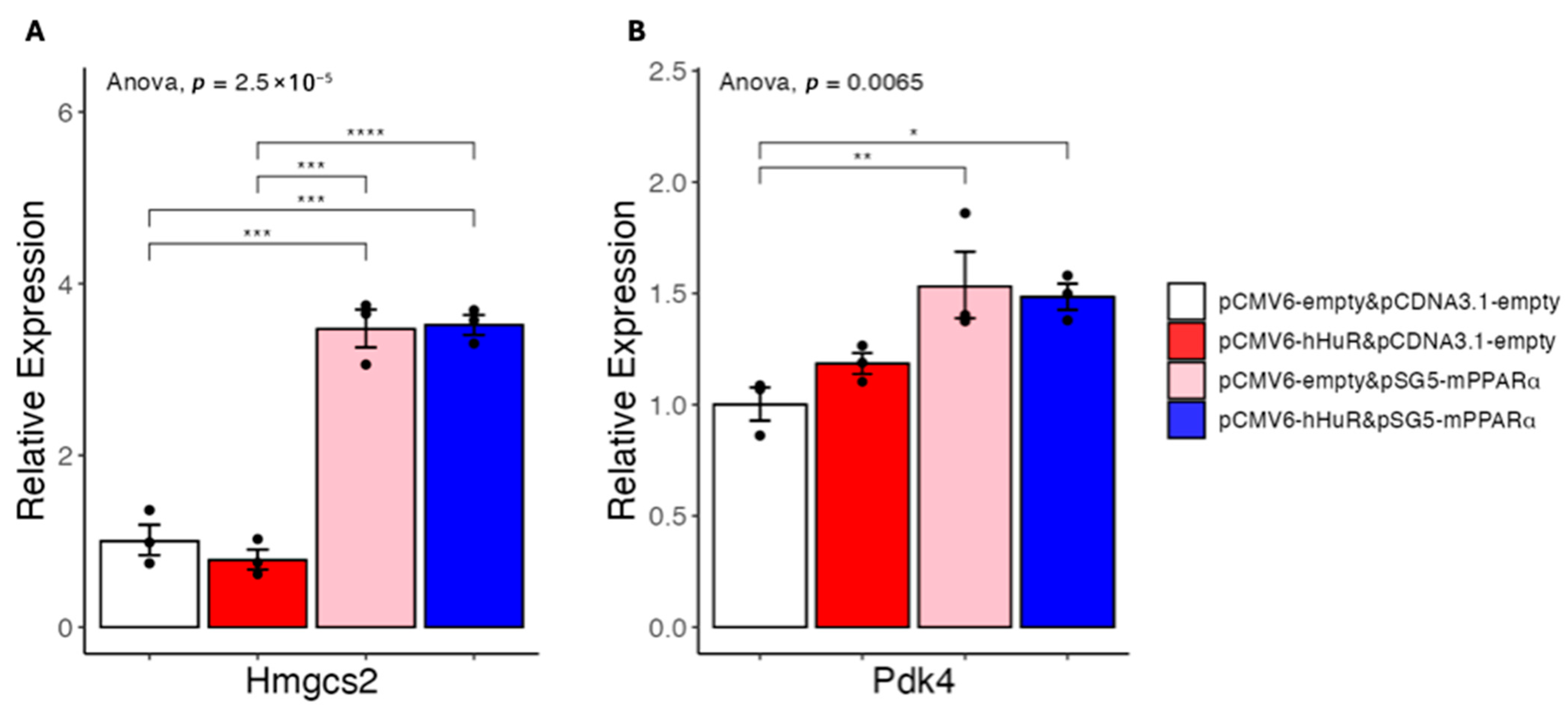 Ncrna 11 00065 g004 Ncrna 11 00065 g004