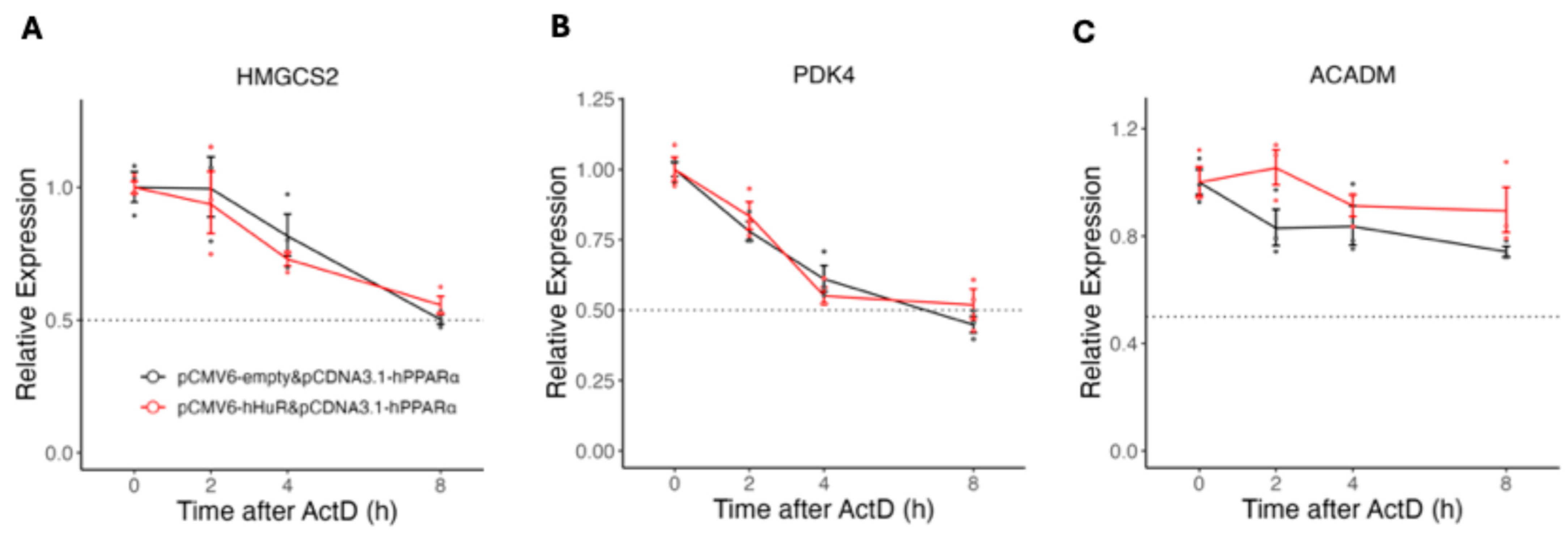 Ncrna 11 00065 g007 Ncrna 11 00065 g007