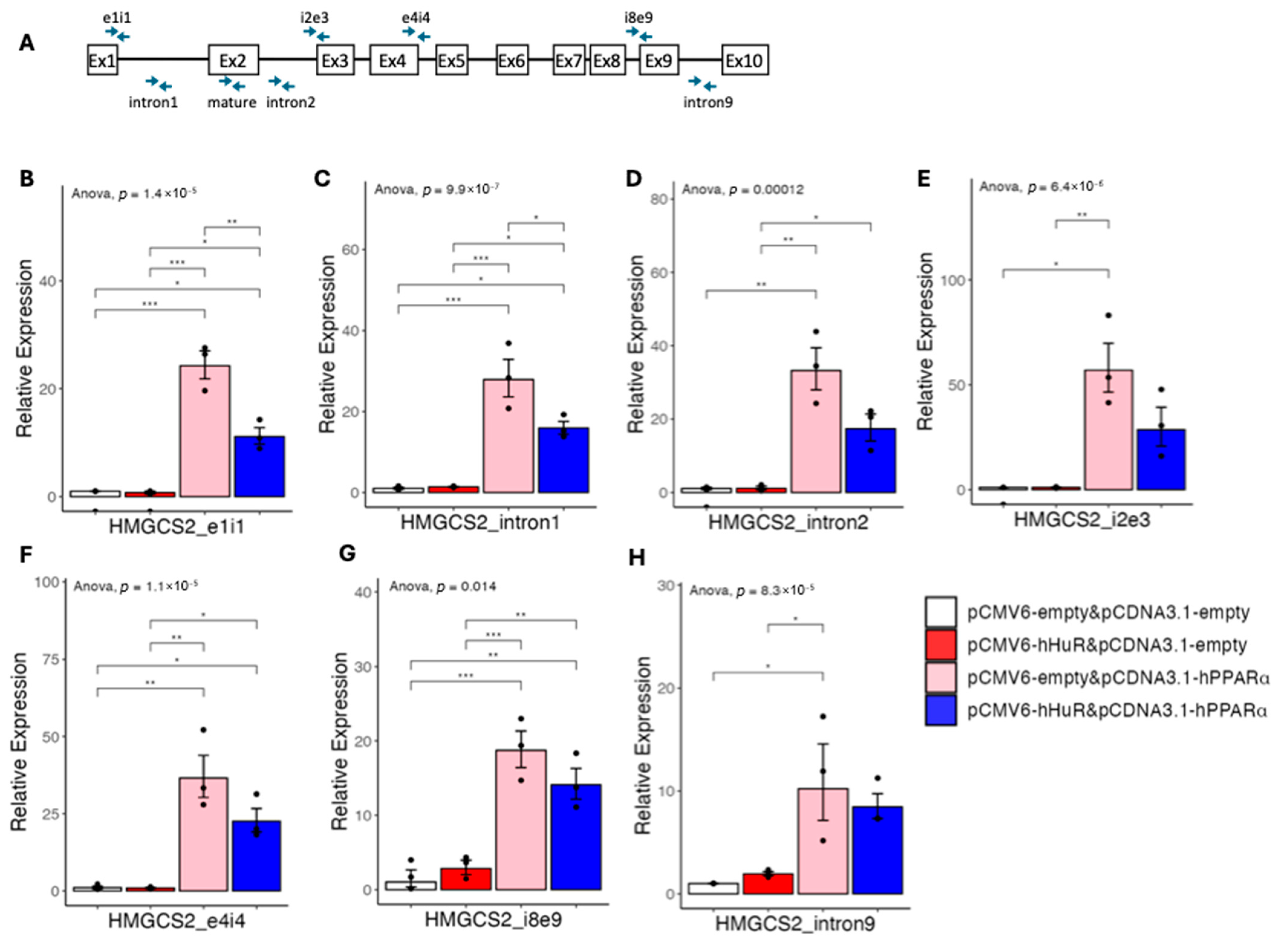 Ncrna 11 00065 g009 Ncrna 11 00065 g009