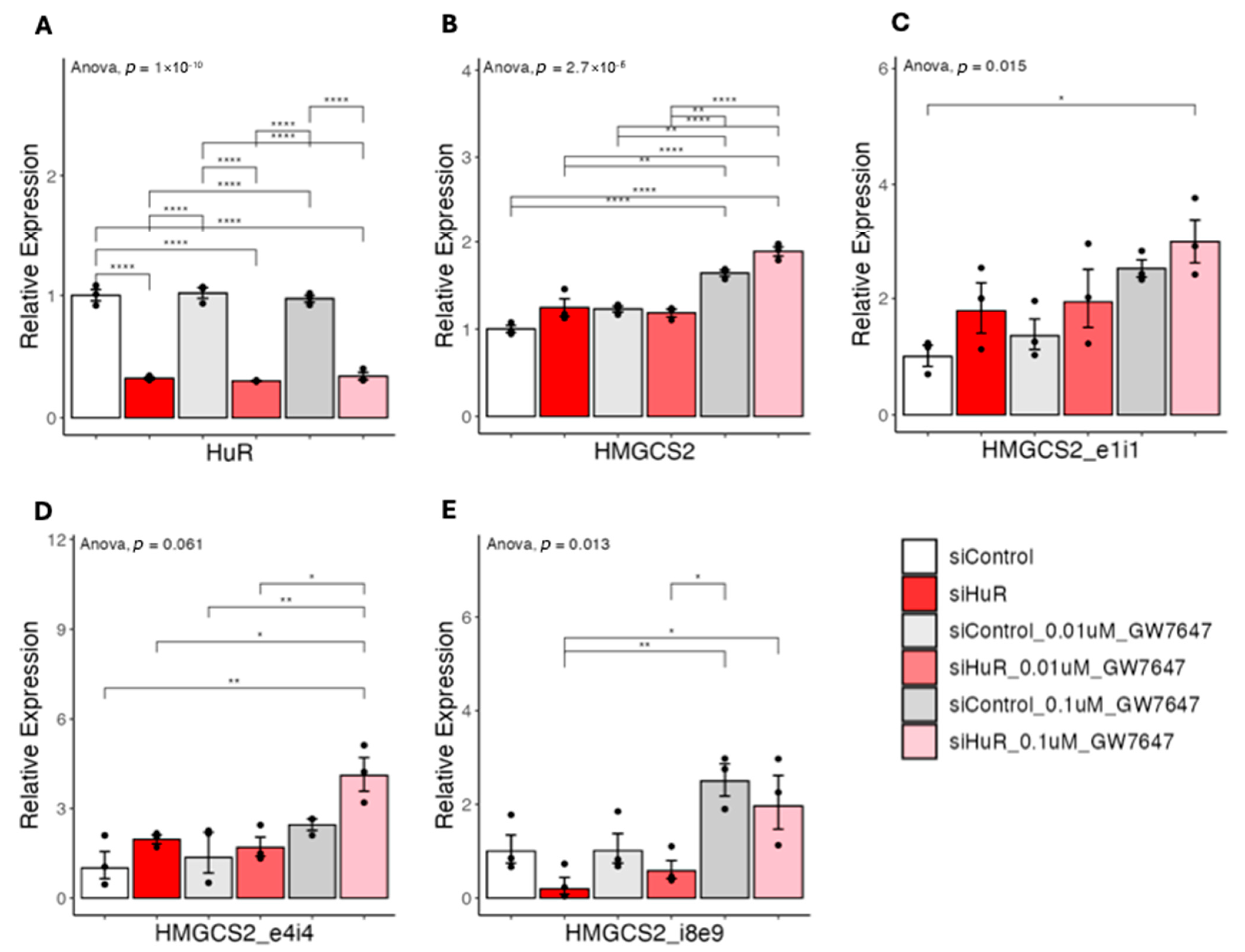 Ncrna 11 00065 g011 Ncrna 11 00065 g011