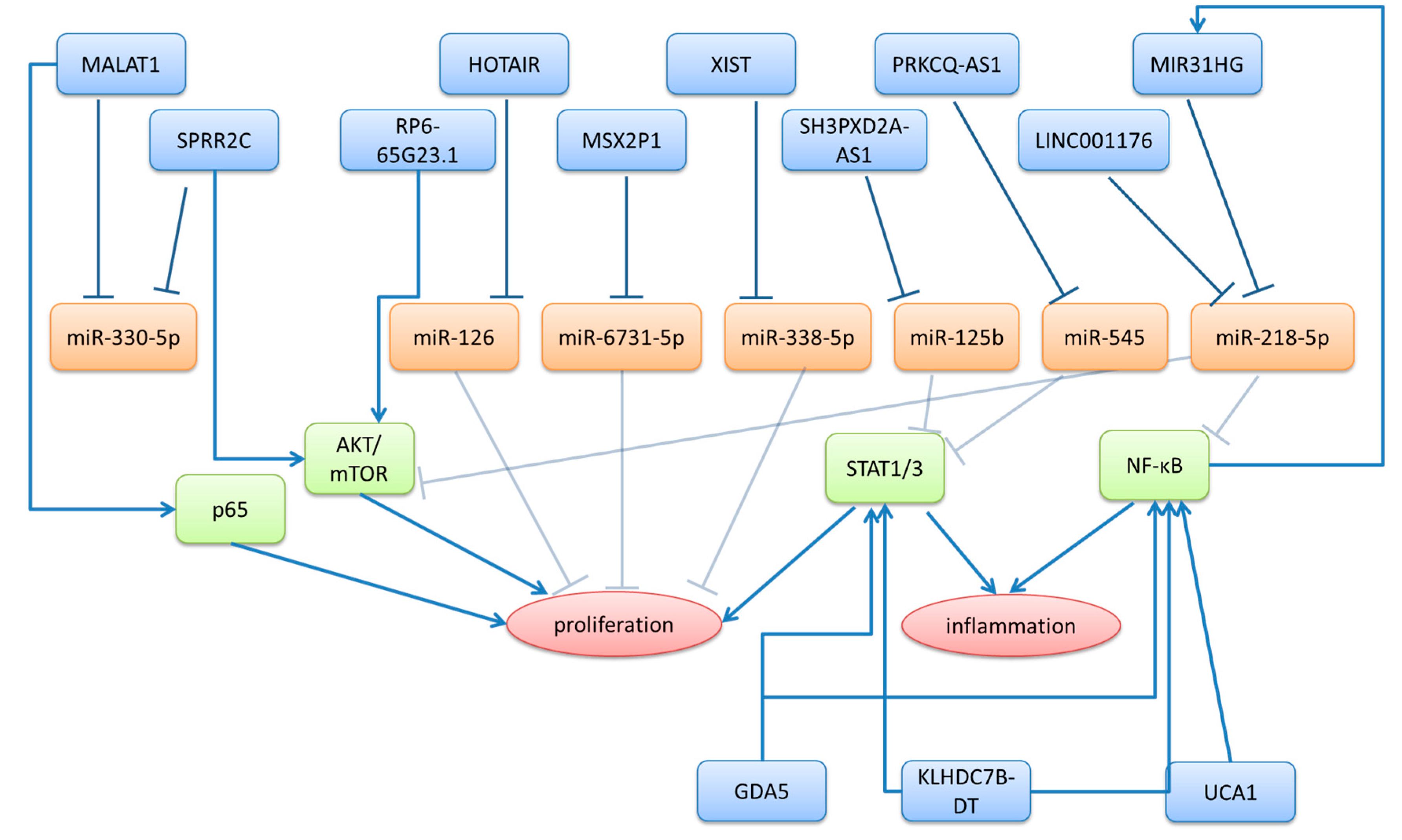 Ncrna 11 00069 g001 Ncrna 11 00069 g001