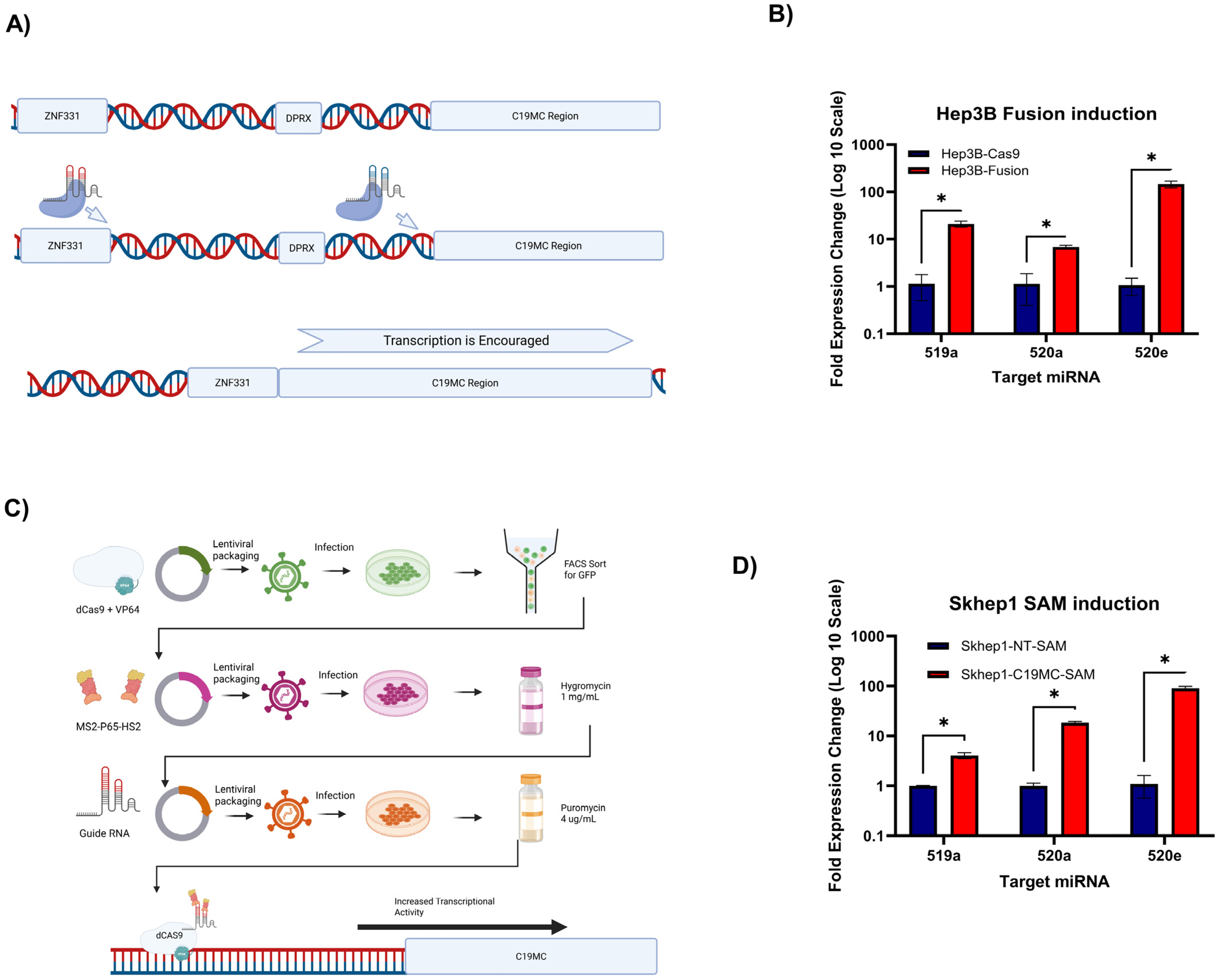Ncrna 11 00074 g001 Ncrna 11 00074 g001