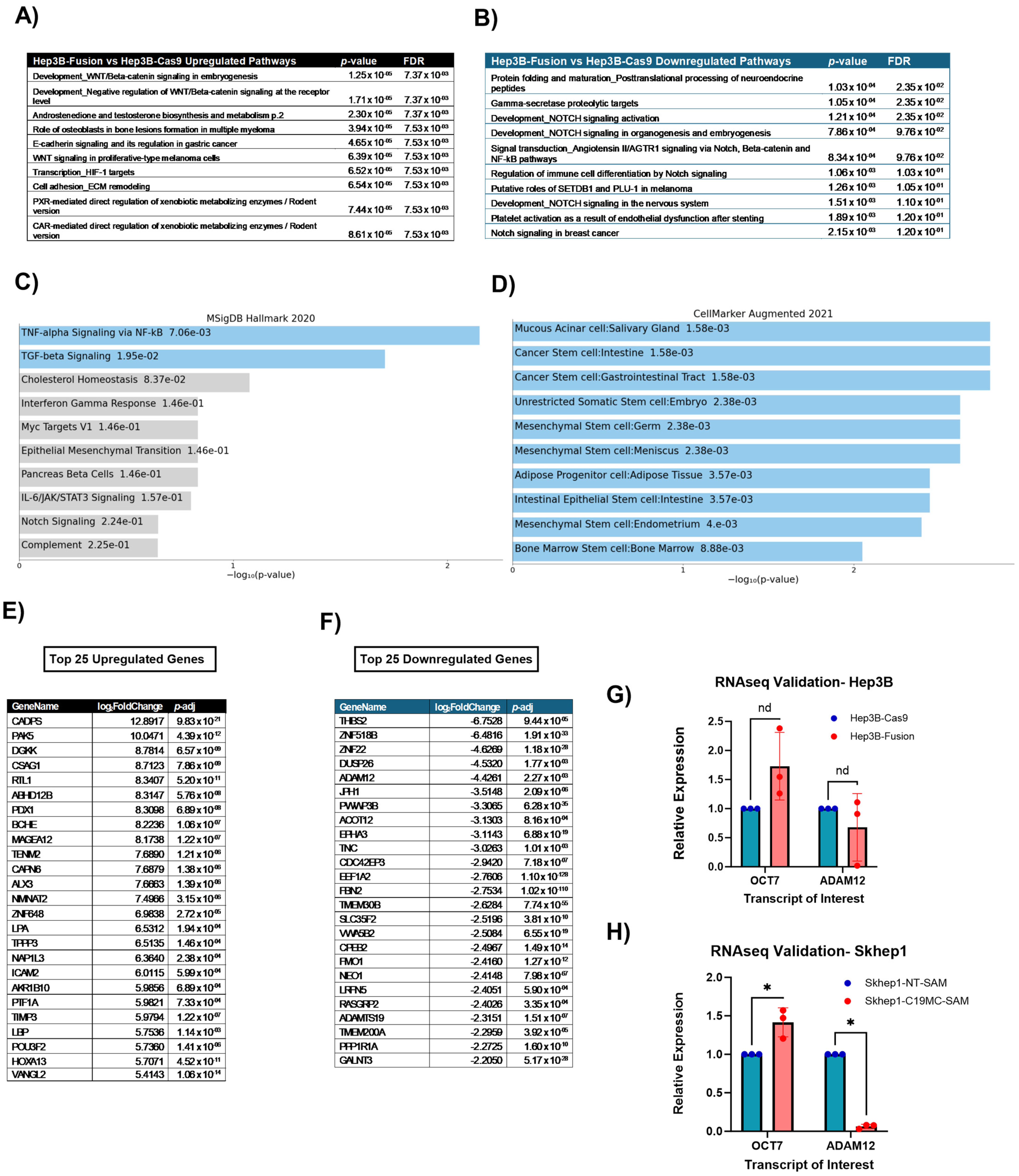 Ncrna 11 00074 g002 Ncrna 11 00074 g002