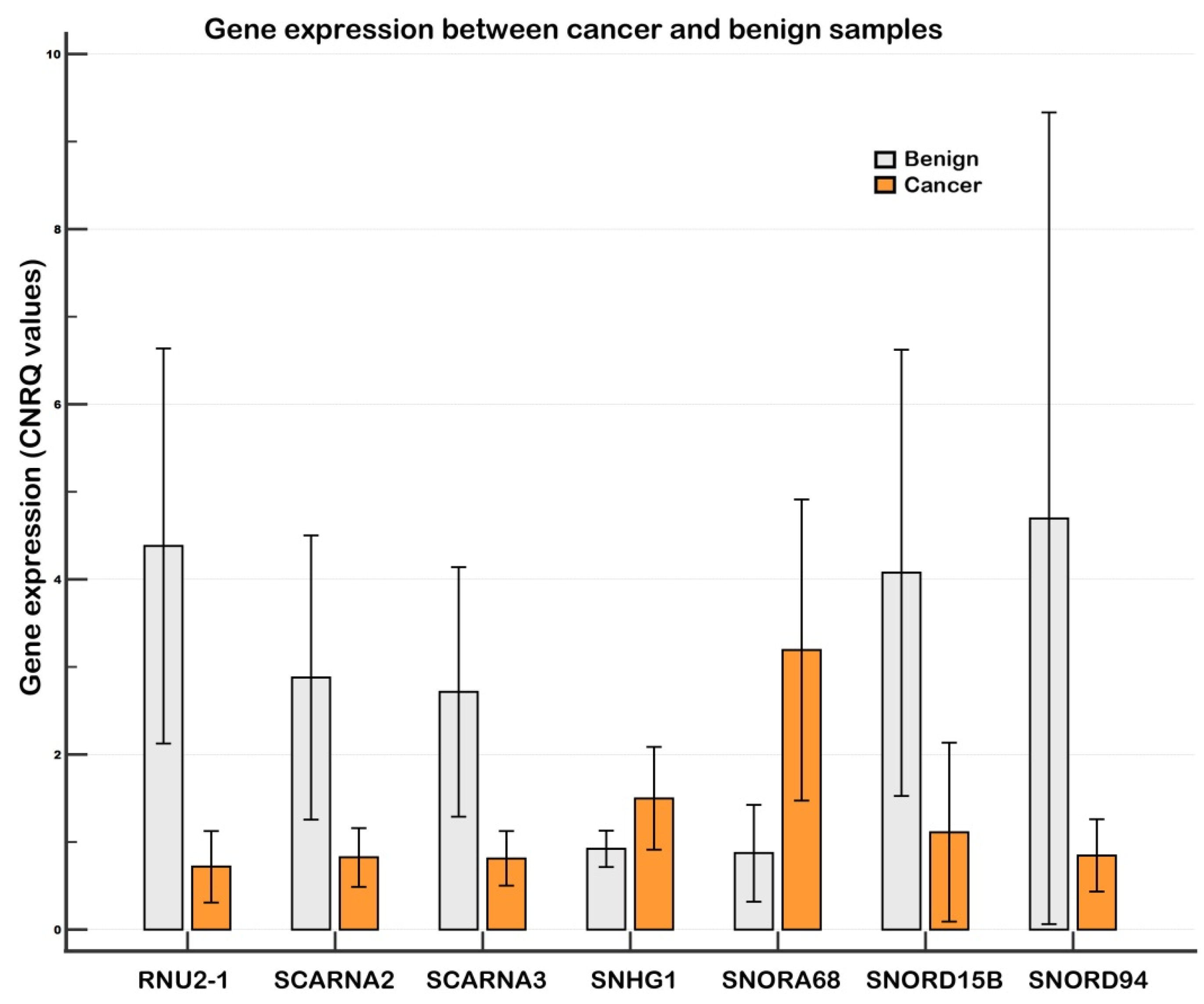 Ncrna 11 00076 g001 Ncrna 11 00076 g001