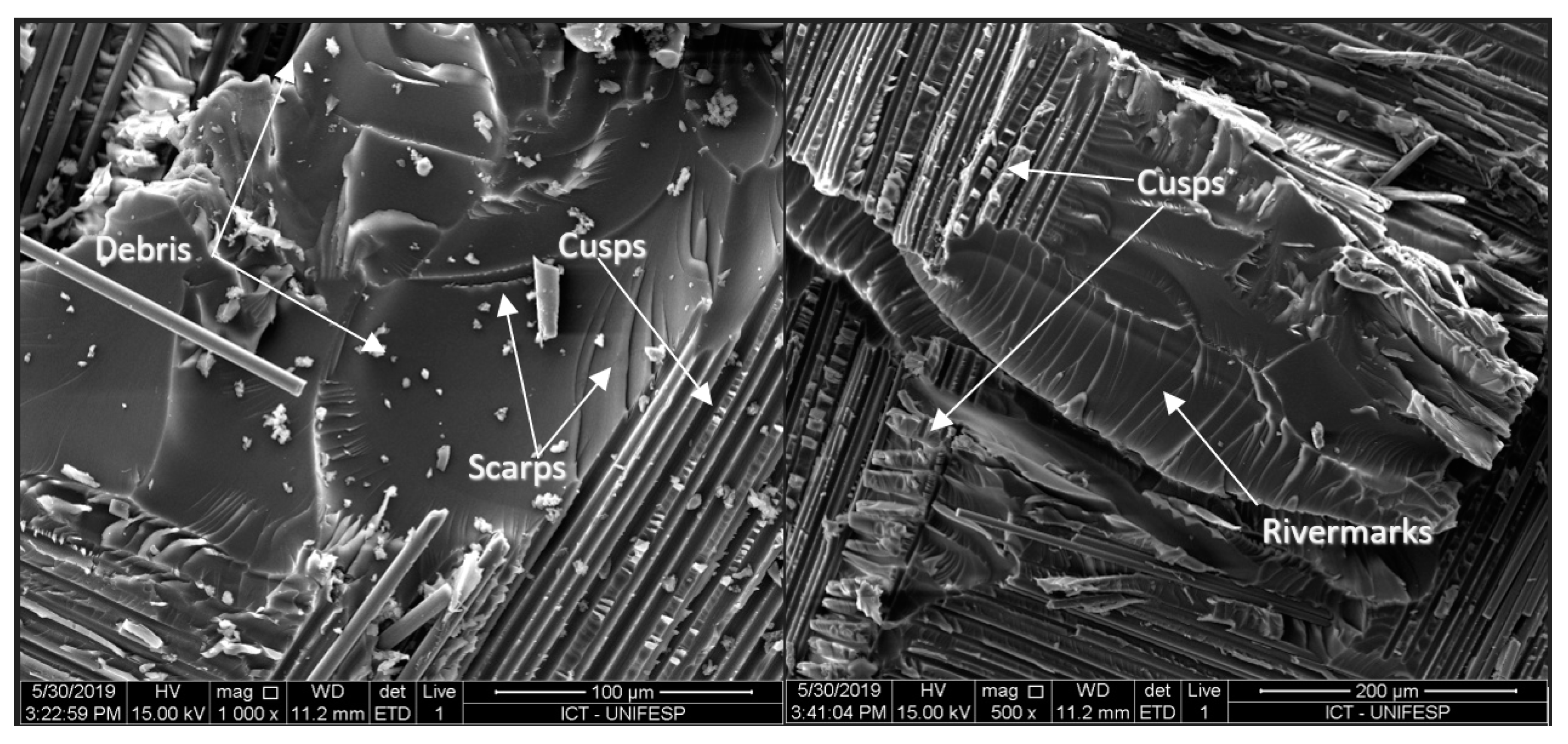 Ndt 02 00003 g013 Ndt 02 00003 g013