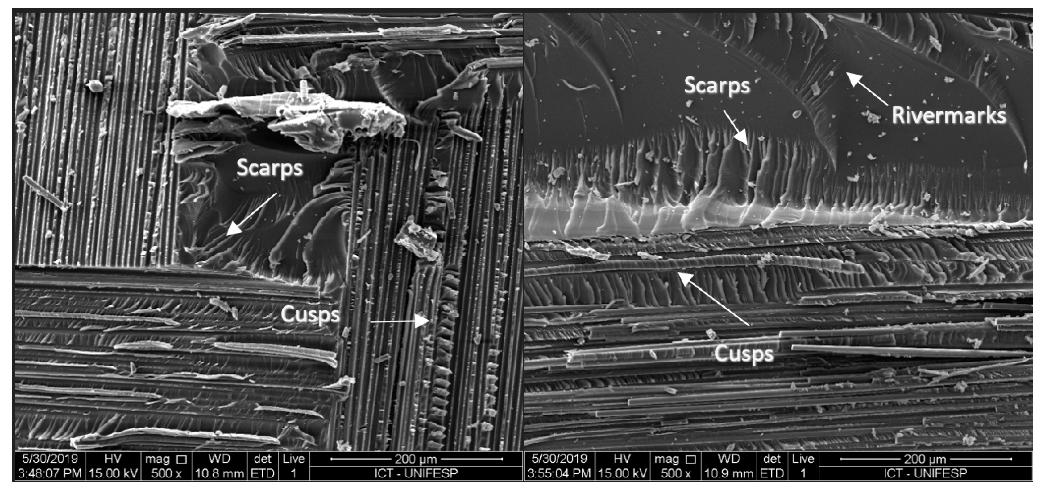 Ndt 02 00003 g014 Ndt 02 00003 g014