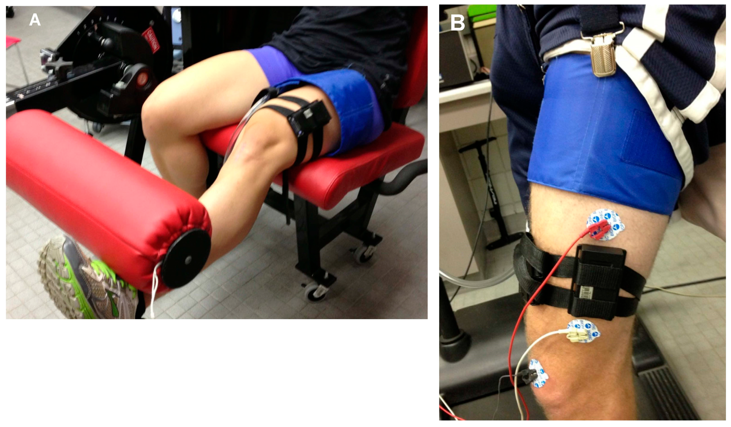 Ndt 02 00025 g002 Ndt 02 00025 g002