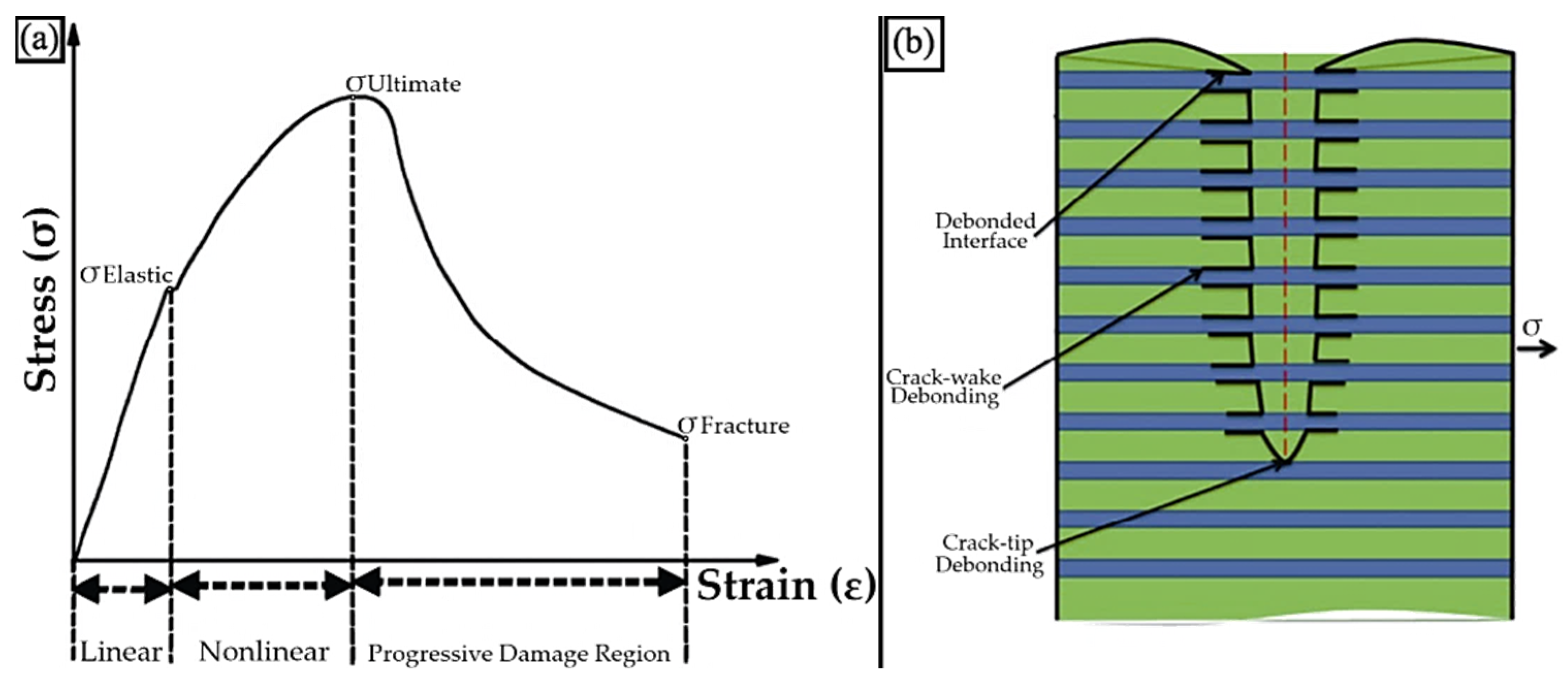 Ndt 03 00003 g007 Ndt 03 00003 g007