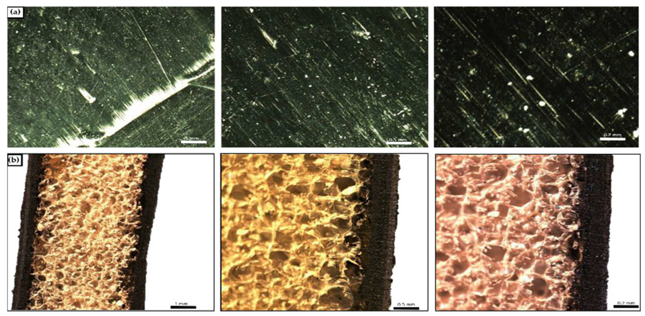 Ndt 03 00003 g016 Ndt 03 00003 g016
