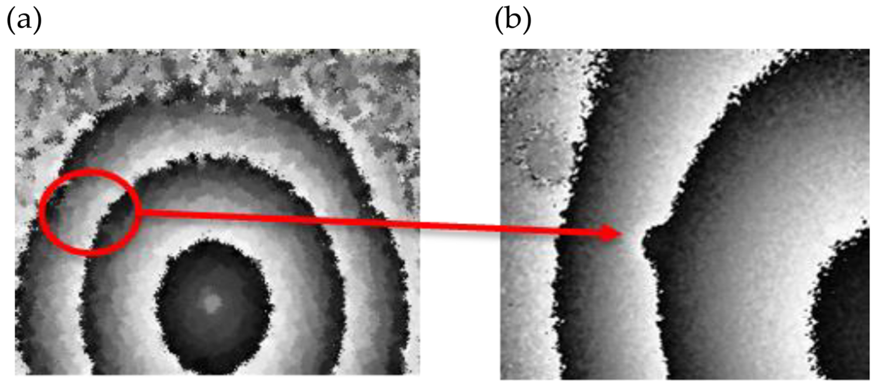 Ndt 03 00003 g027 Ndt 03 00003 g027