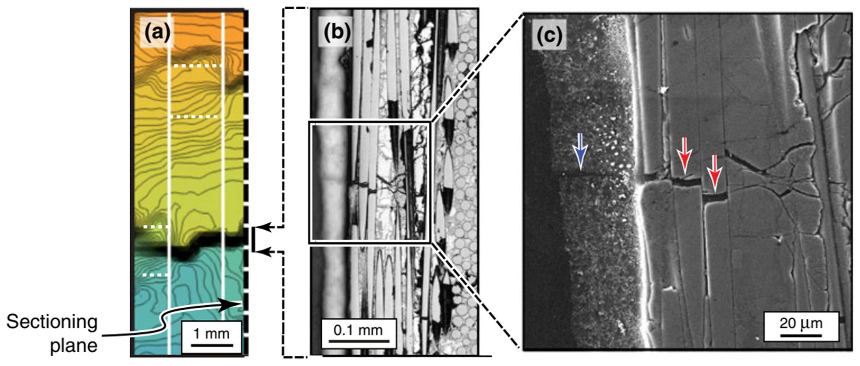 Ndt 03 00003 g032 Ndt 03 00003 g032