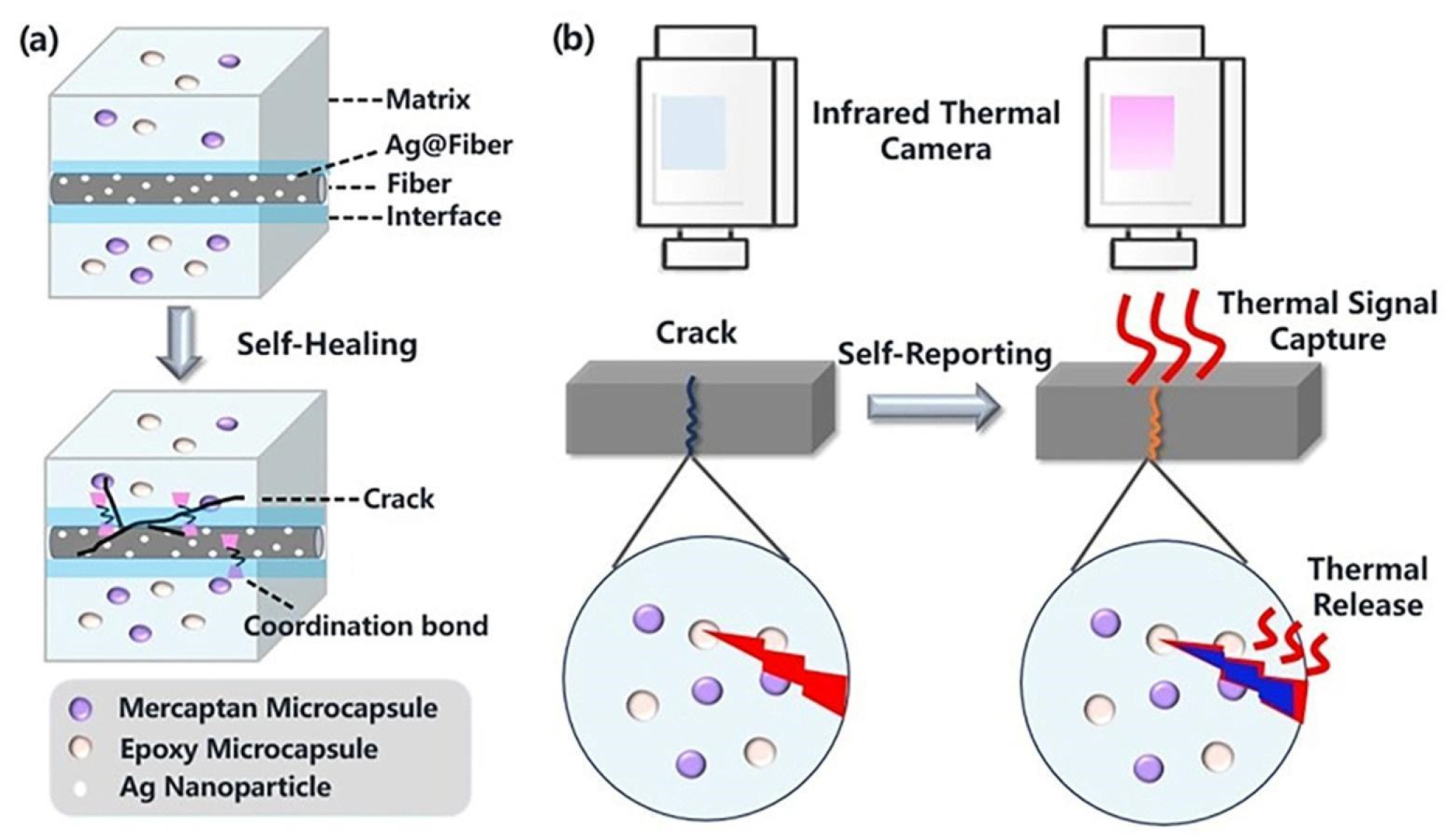 Ndt 03 00003 g034 Ndt 03 00003 g034