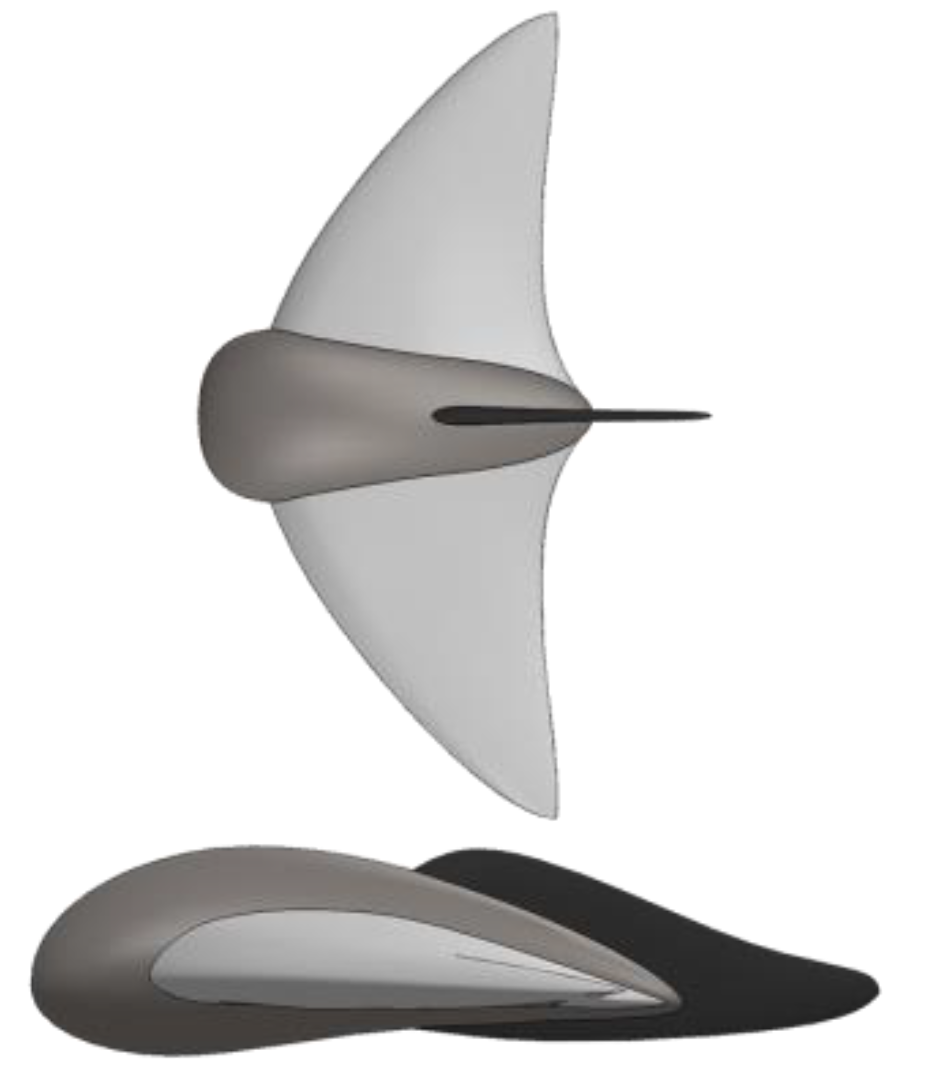 Network 01 00019 g001