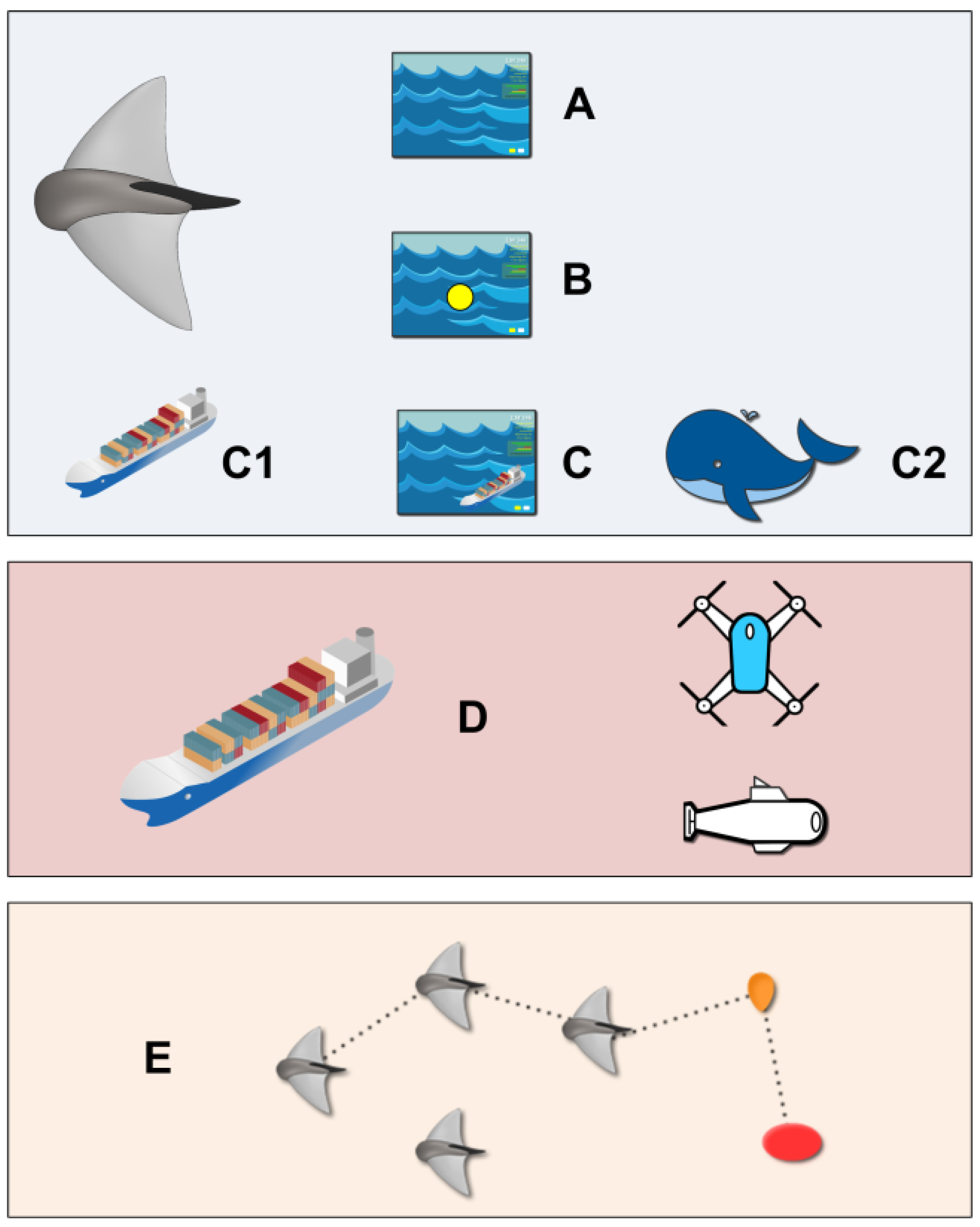 Network 01 00019 g013
