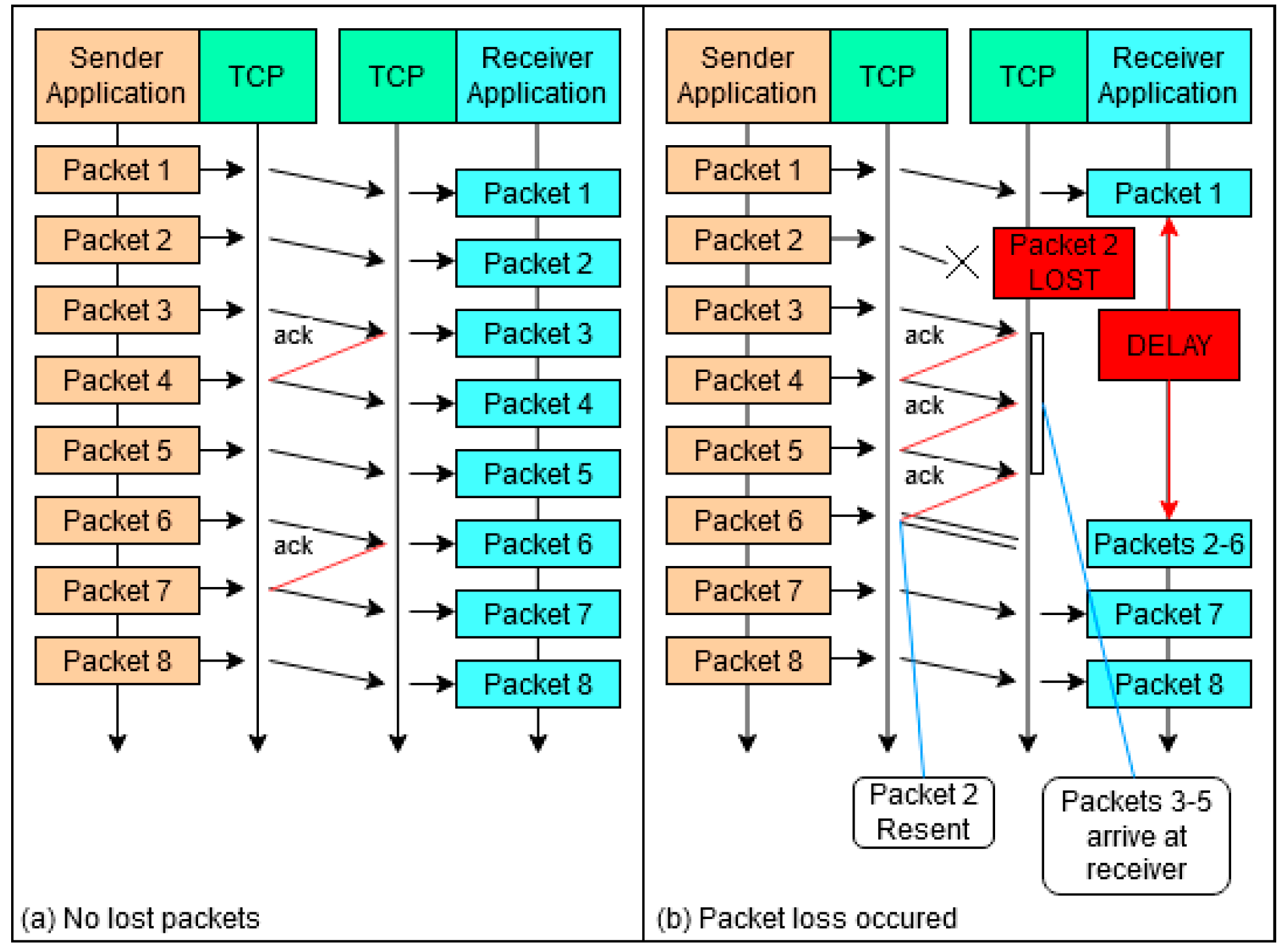 Network 02 00032 g002
