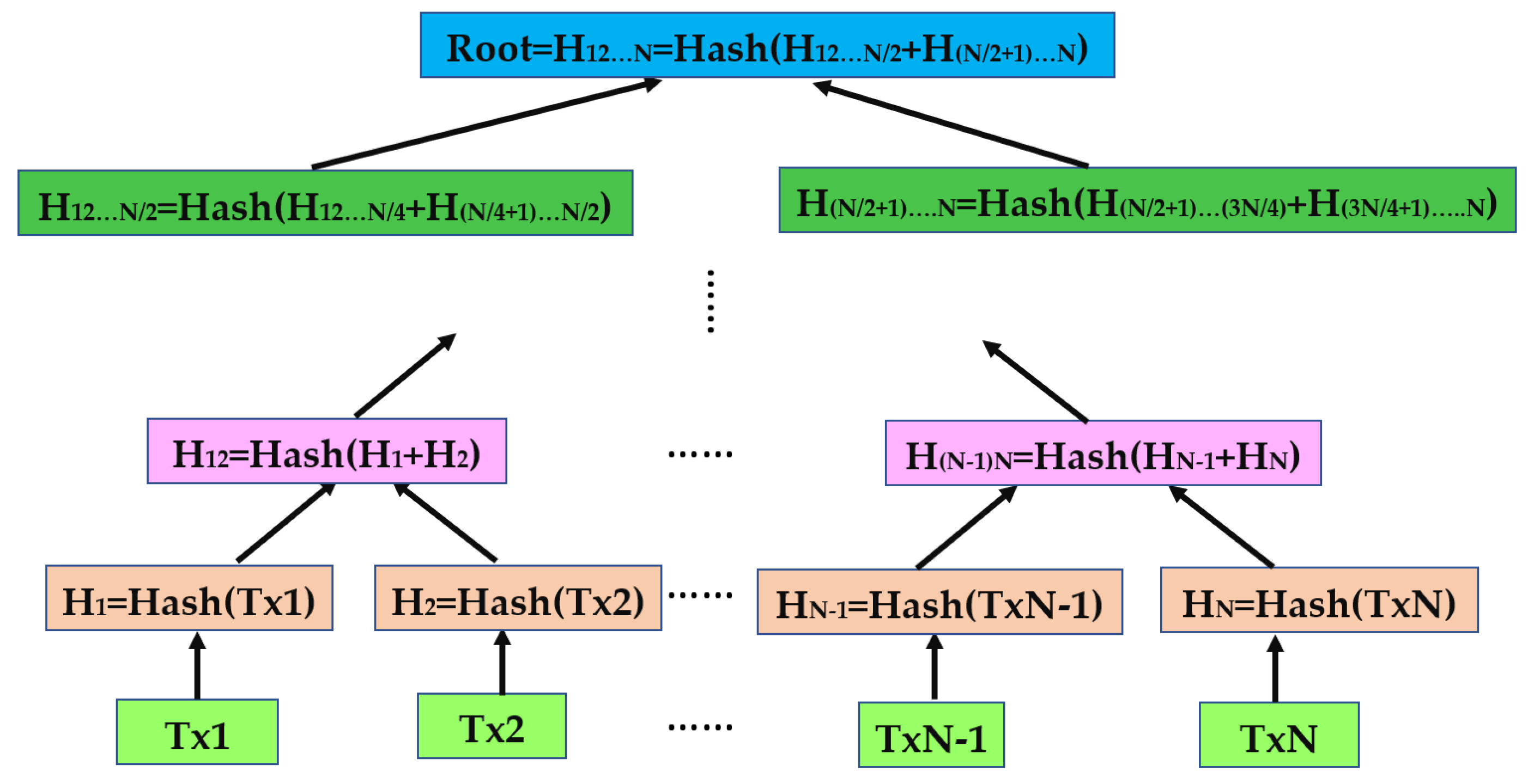 Network 03 00017 g003
